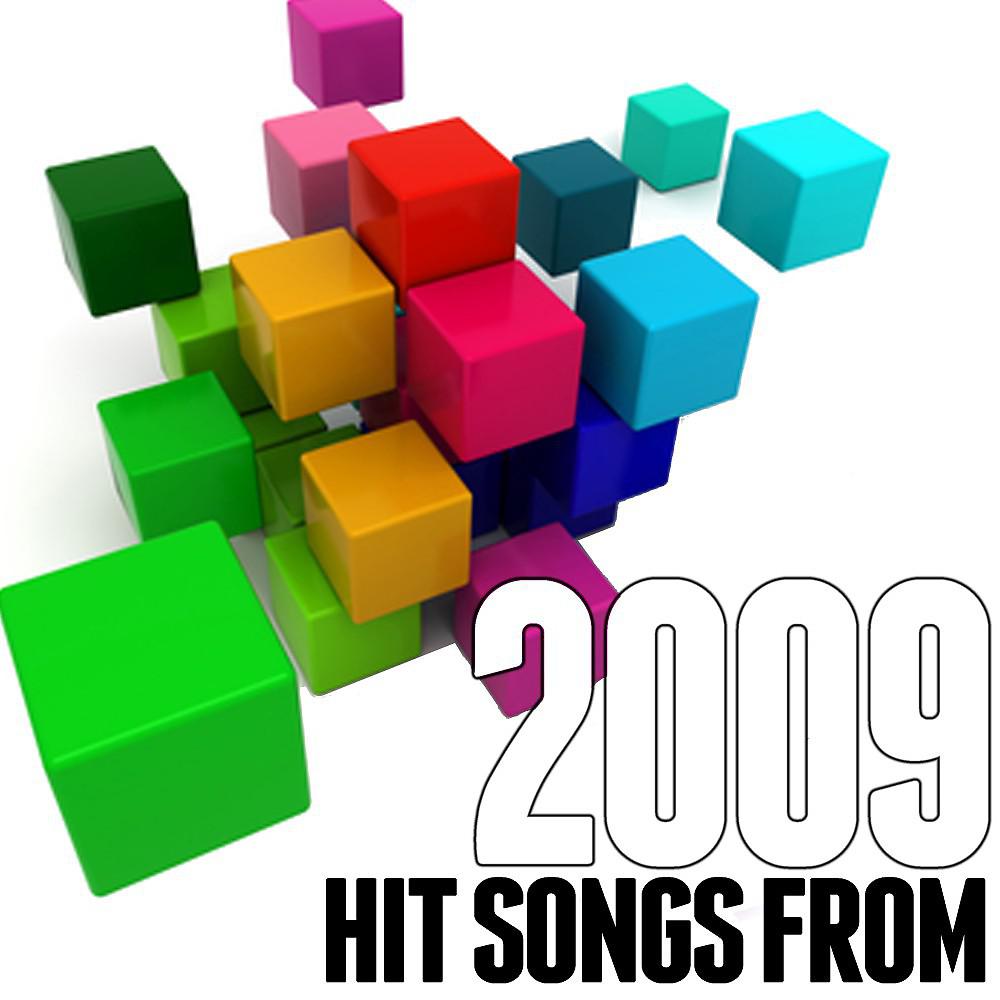 Постер альбома Hits Songs from 2009