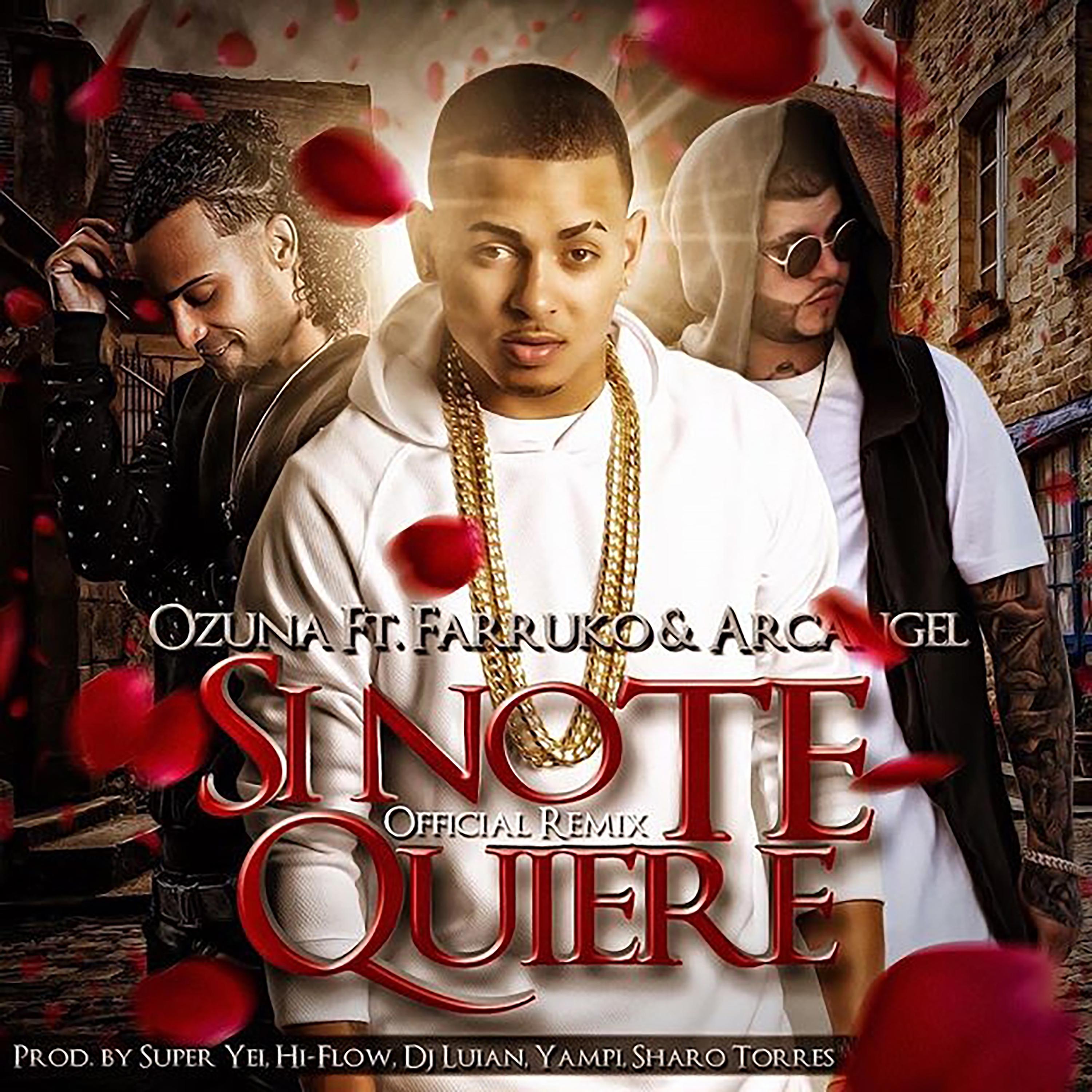 Постер альбома Si No Te Quiere Remix