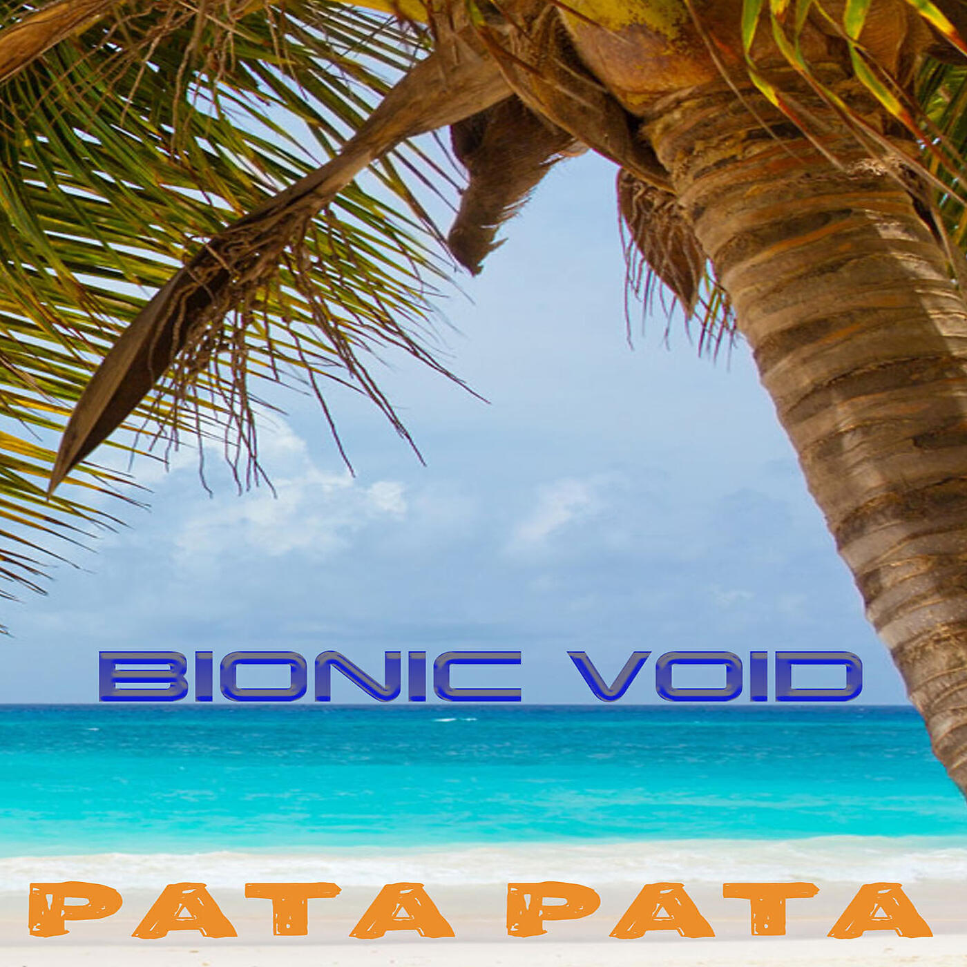 Bionic Void - Pata Pata (Extended Version)
