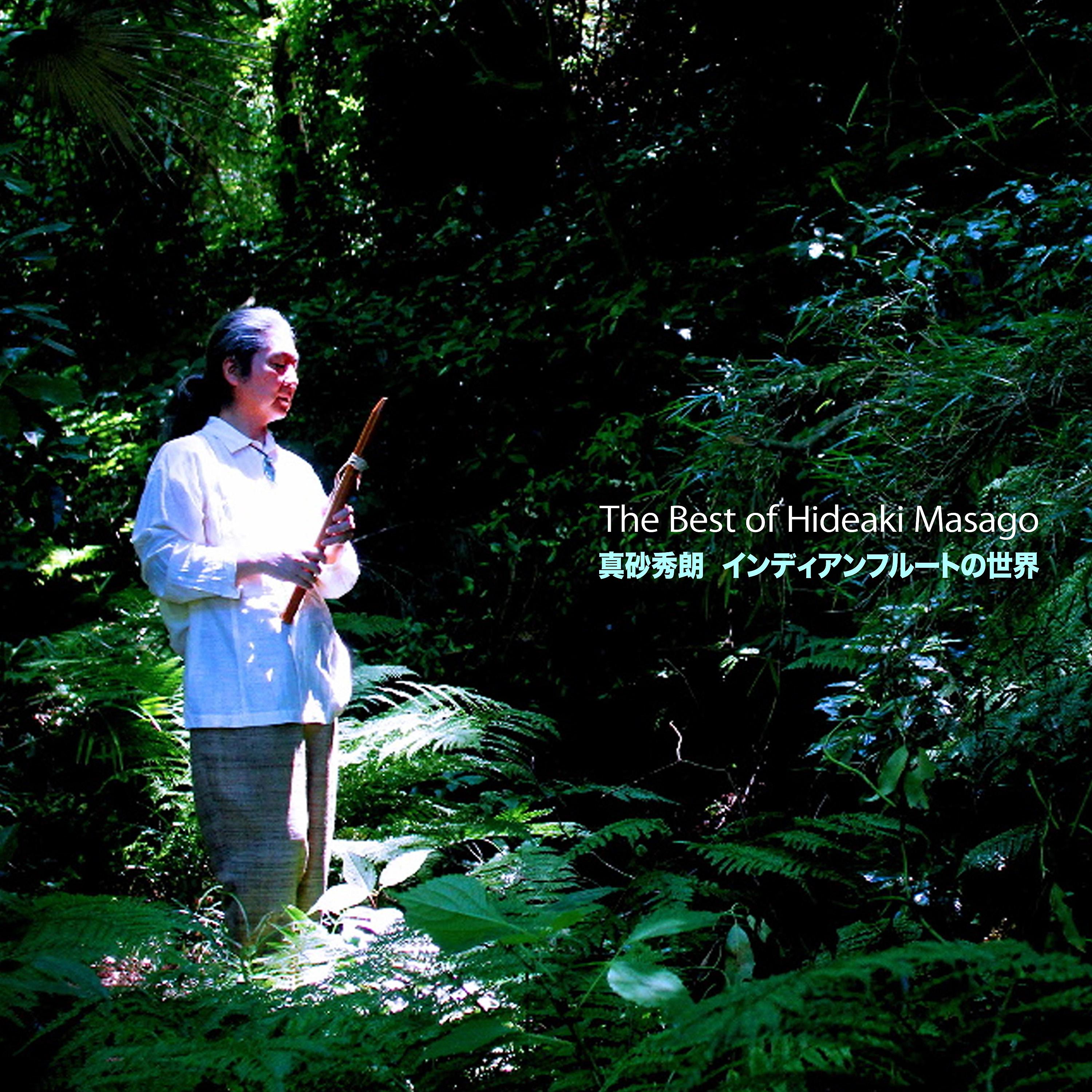 Постер альбома The Best of Hideaki Masago - Indian Flute World