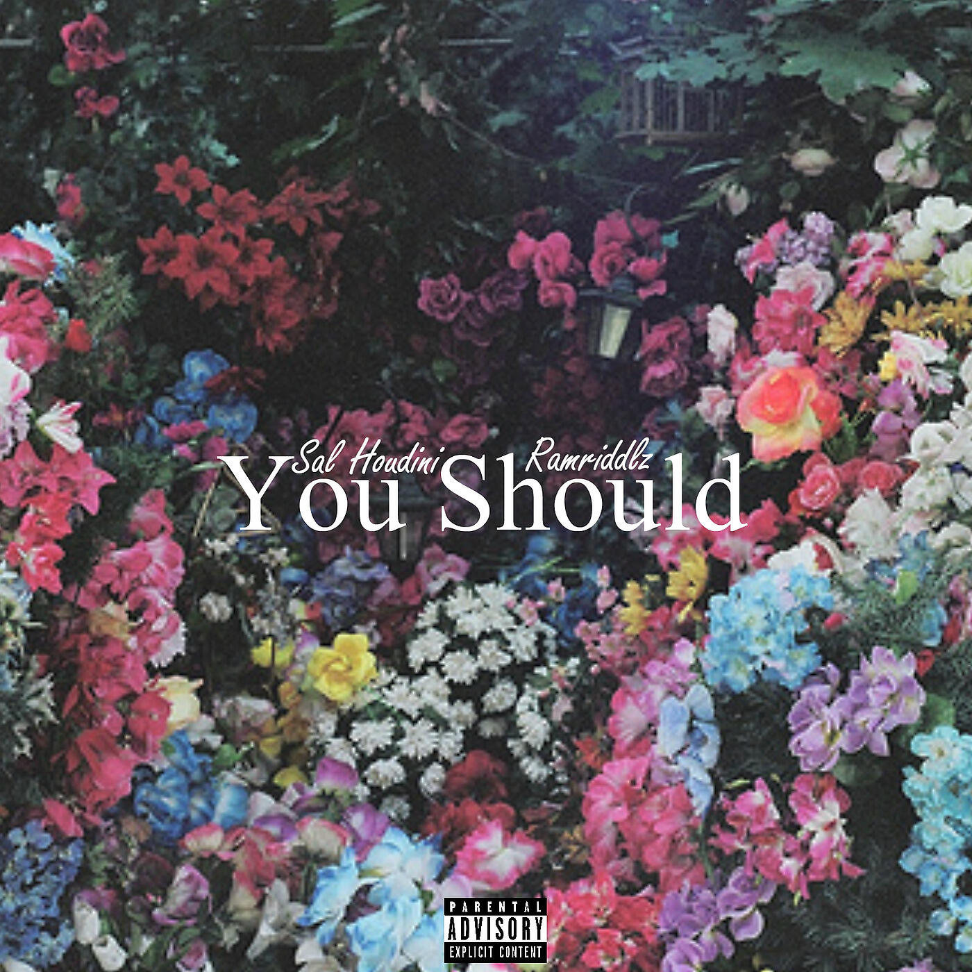 Sal Houdini - You Should