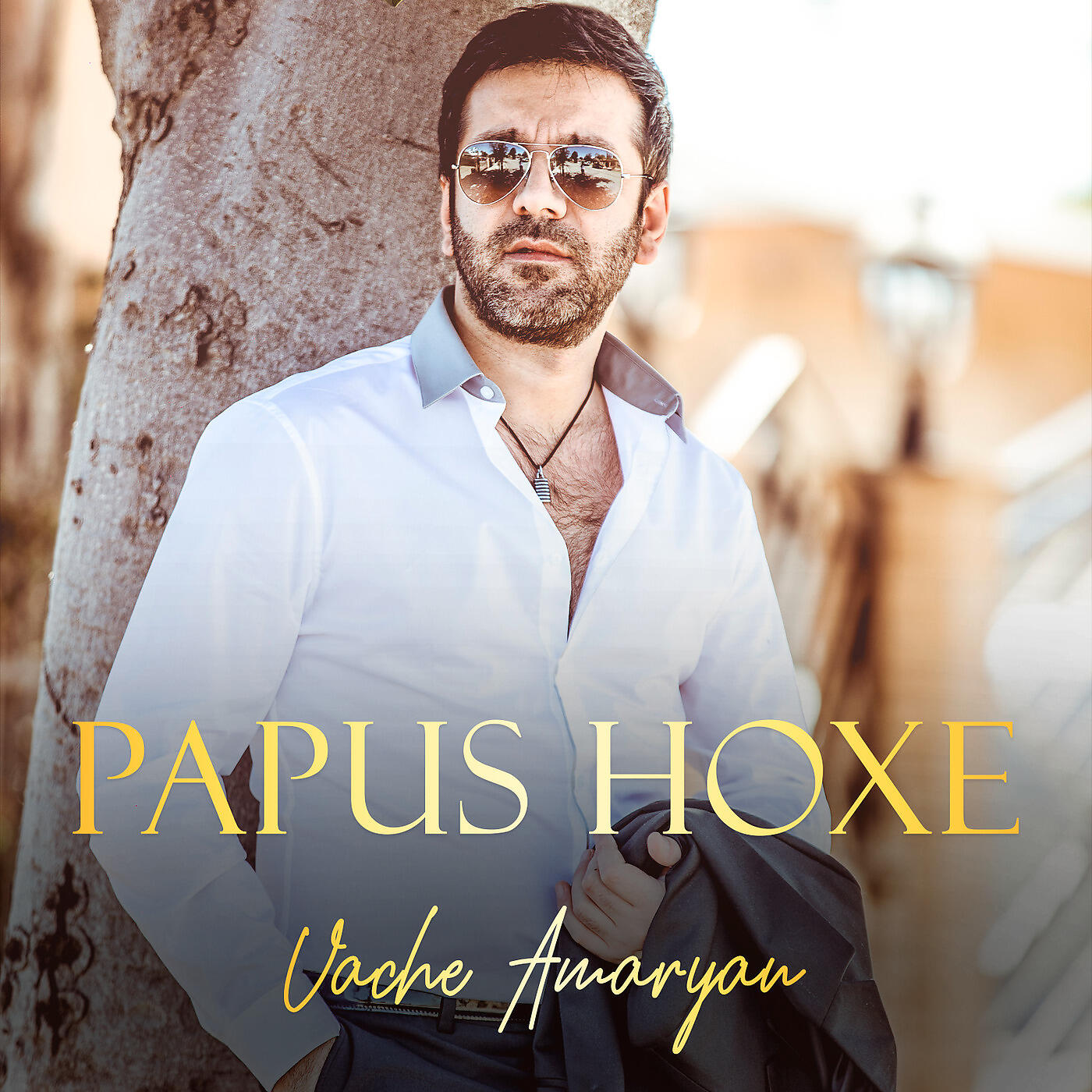 Vache Amaryan - Papus Hoxe