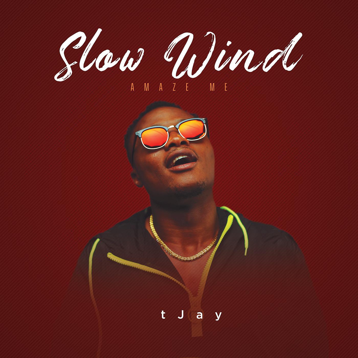Постер альбома Slow Wind (Amaze Me)