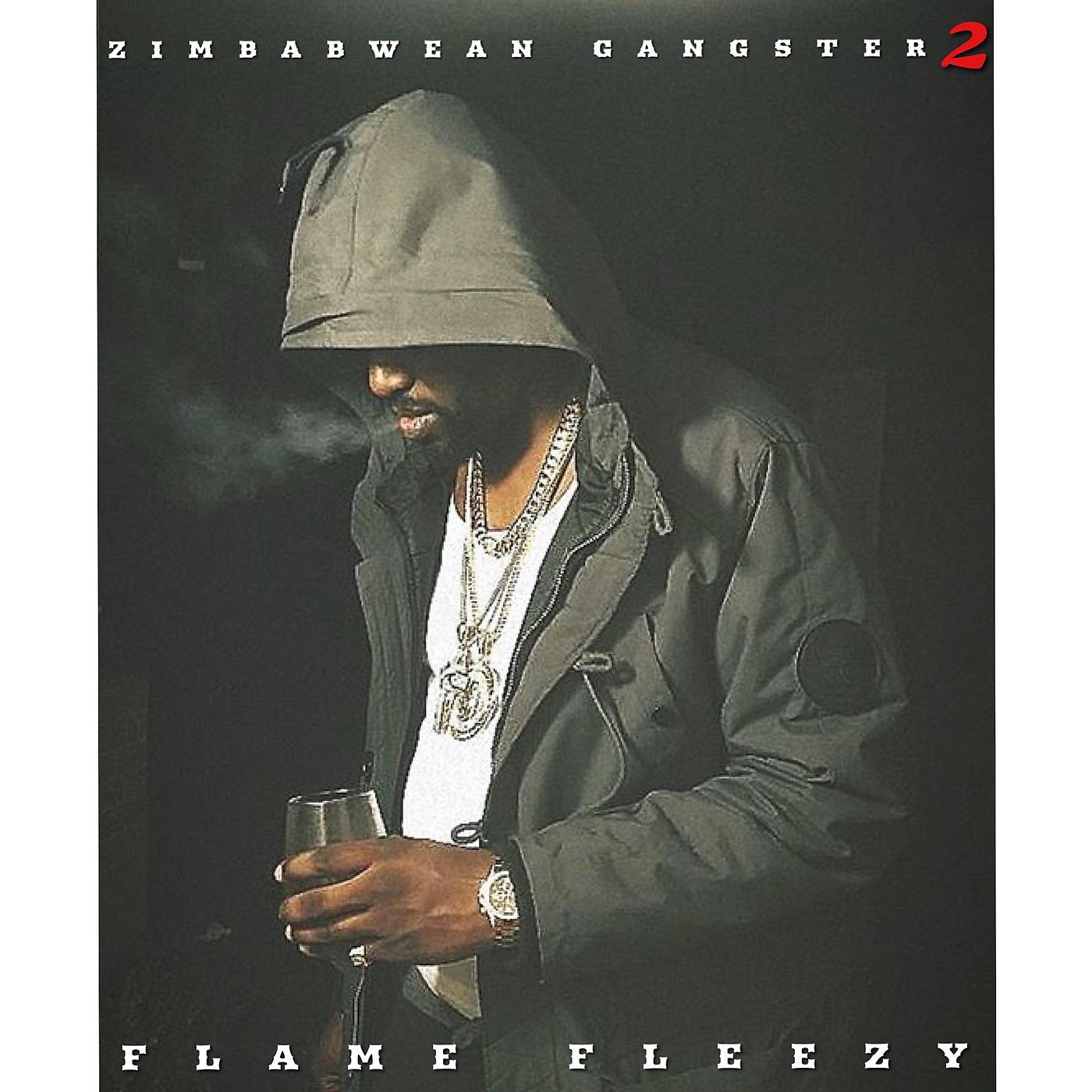 Постер альбома Zimbabwean Gangster 2