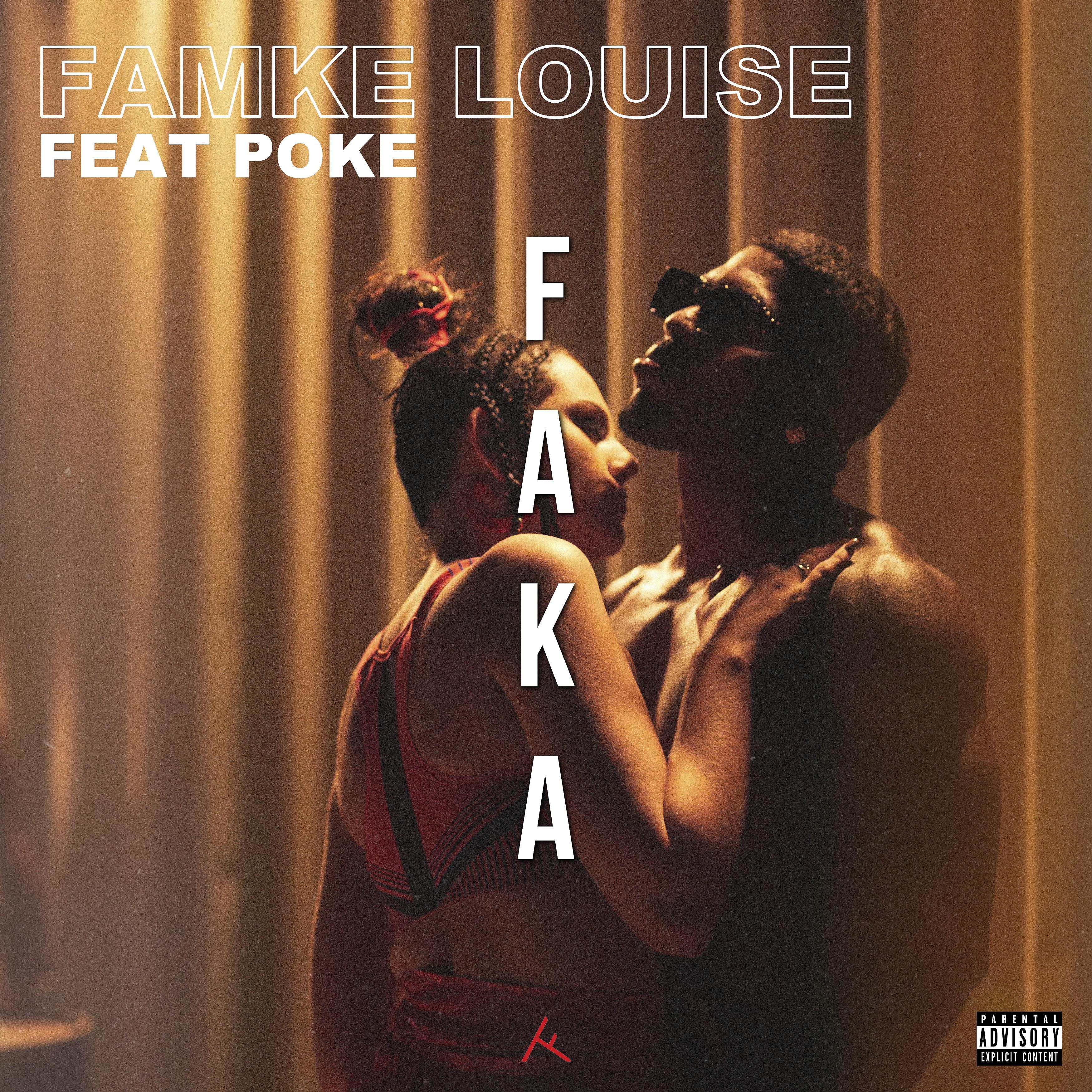 Постер альбома FAKA (feat. Poke)