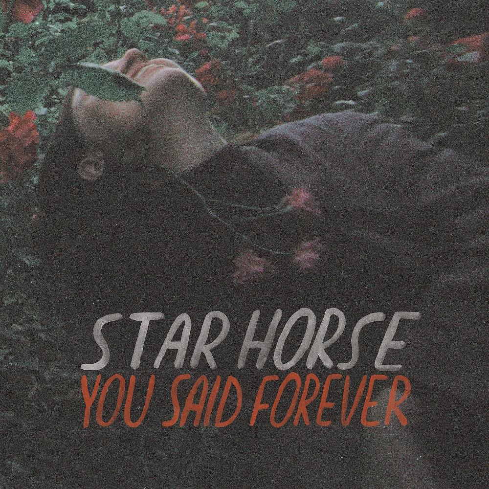 Постер альбома You Said Forever (Deluxe Version)