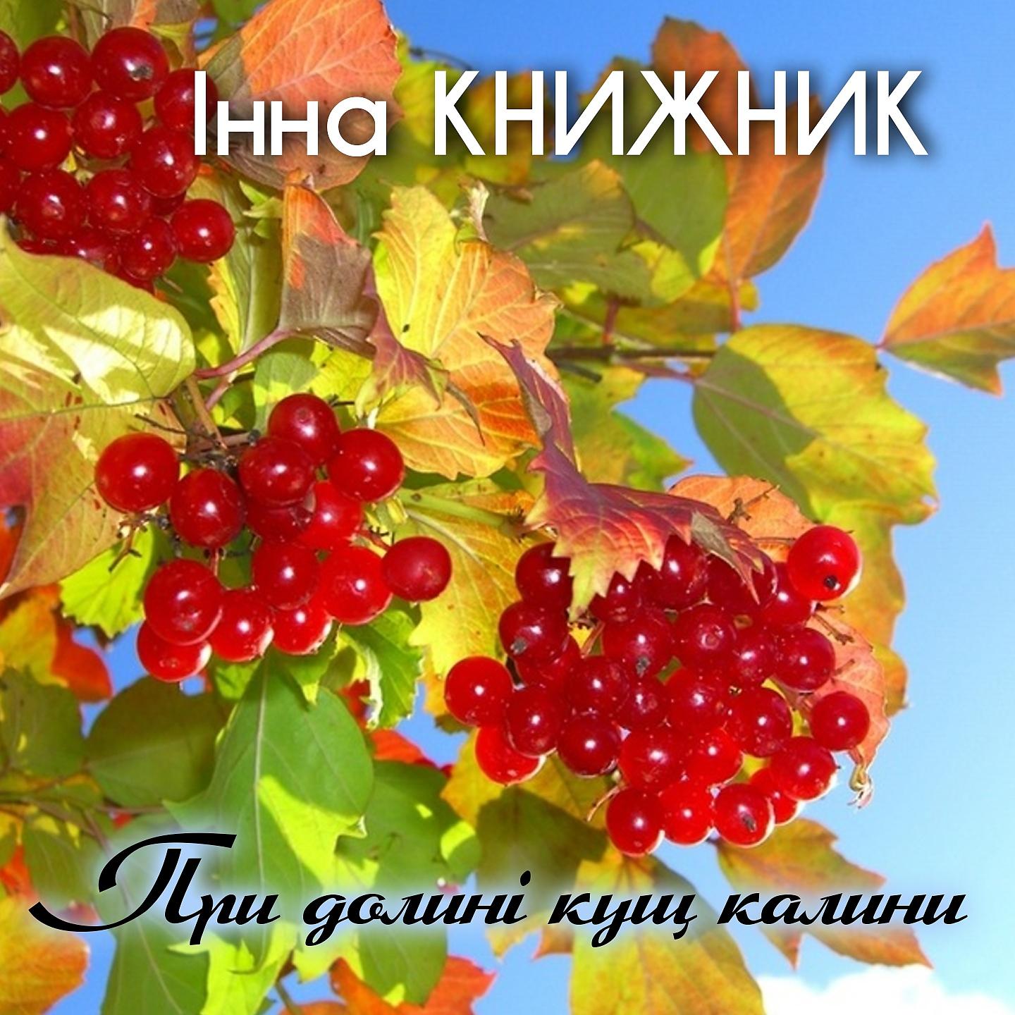 Інна Книжник - Продай, милий, сиві бички