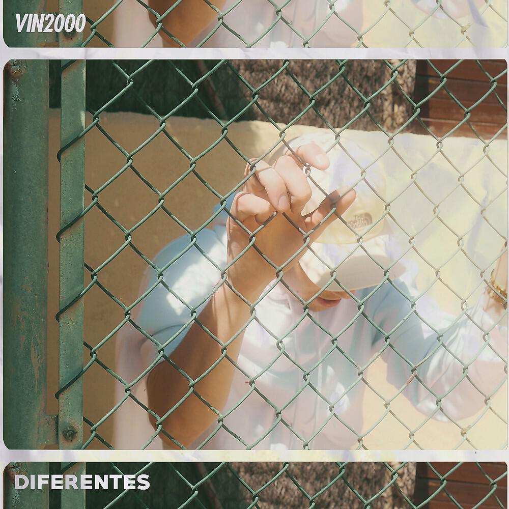 Vin2000 - Diferentes