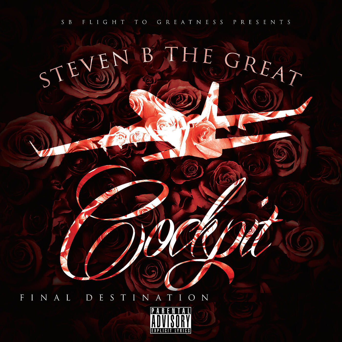 STEVEN B THE GREAT - I Been Working