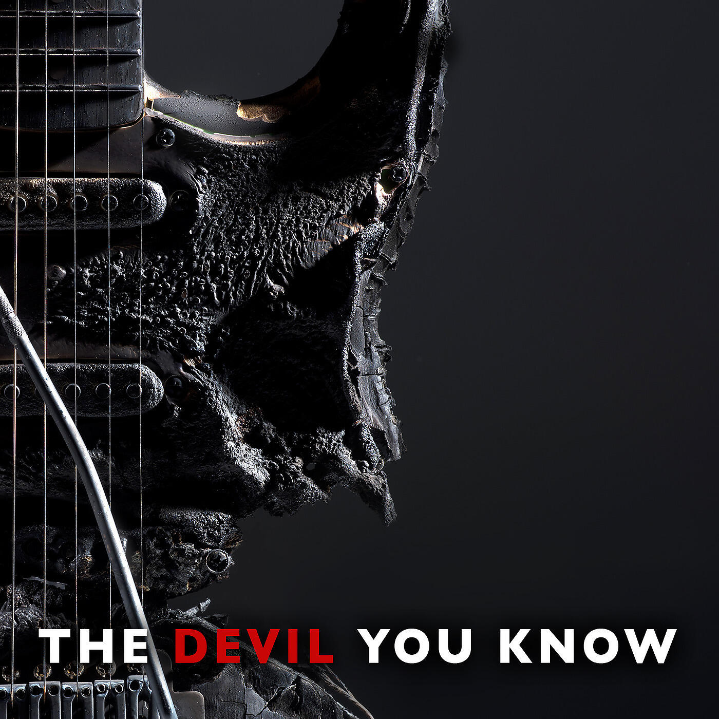 Постер альбома The Devil You Know