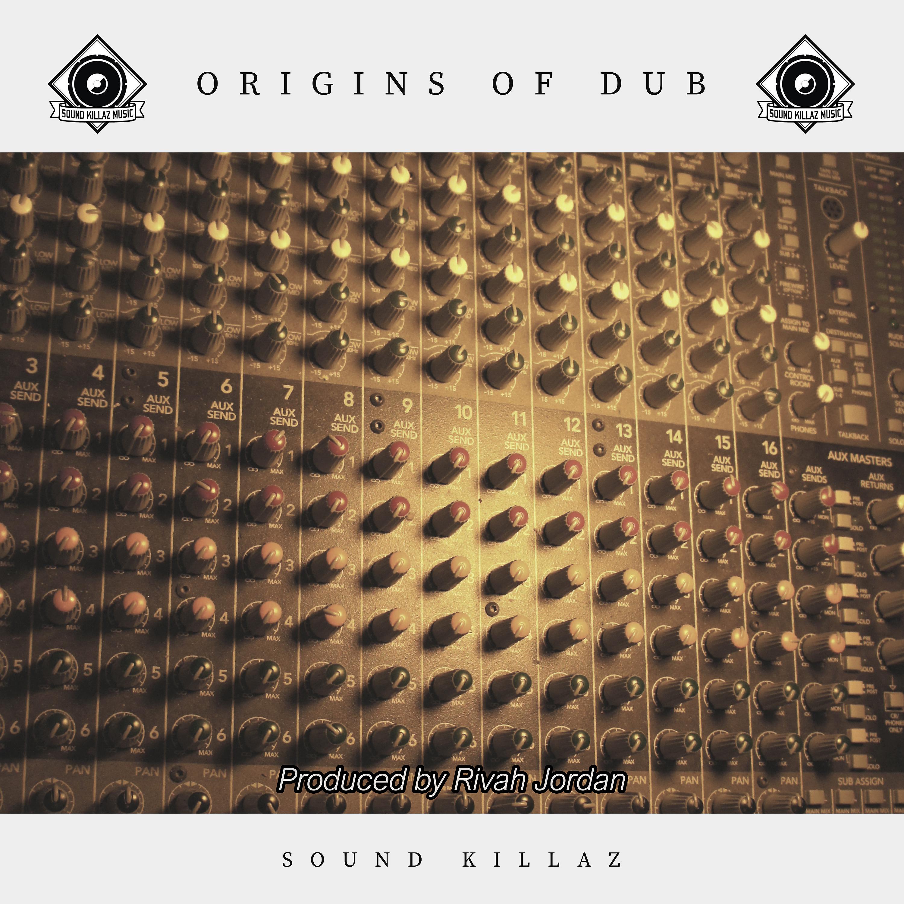 Постер альбома Origins of Dub