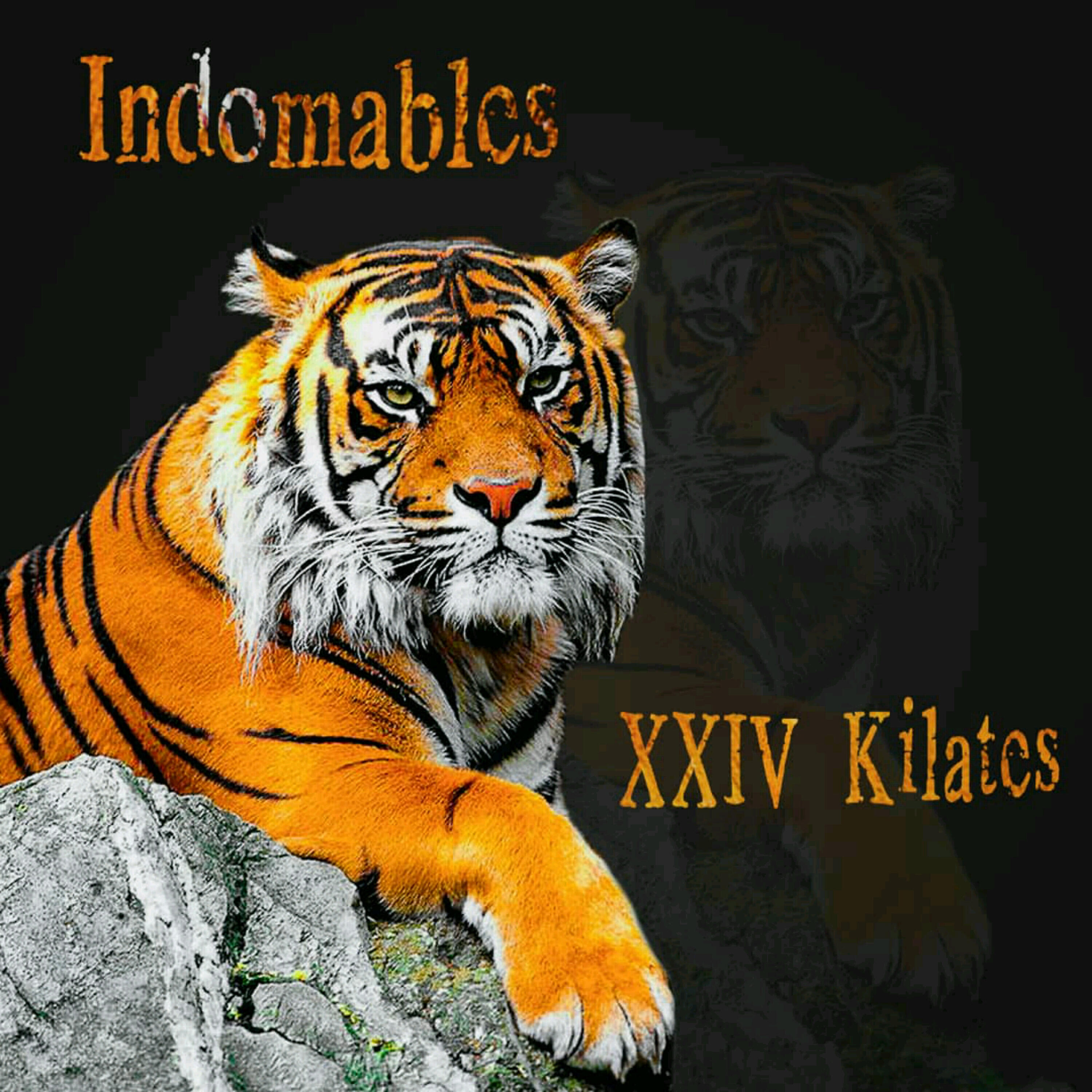 Indomables - Mi Locura, Mi Relajo