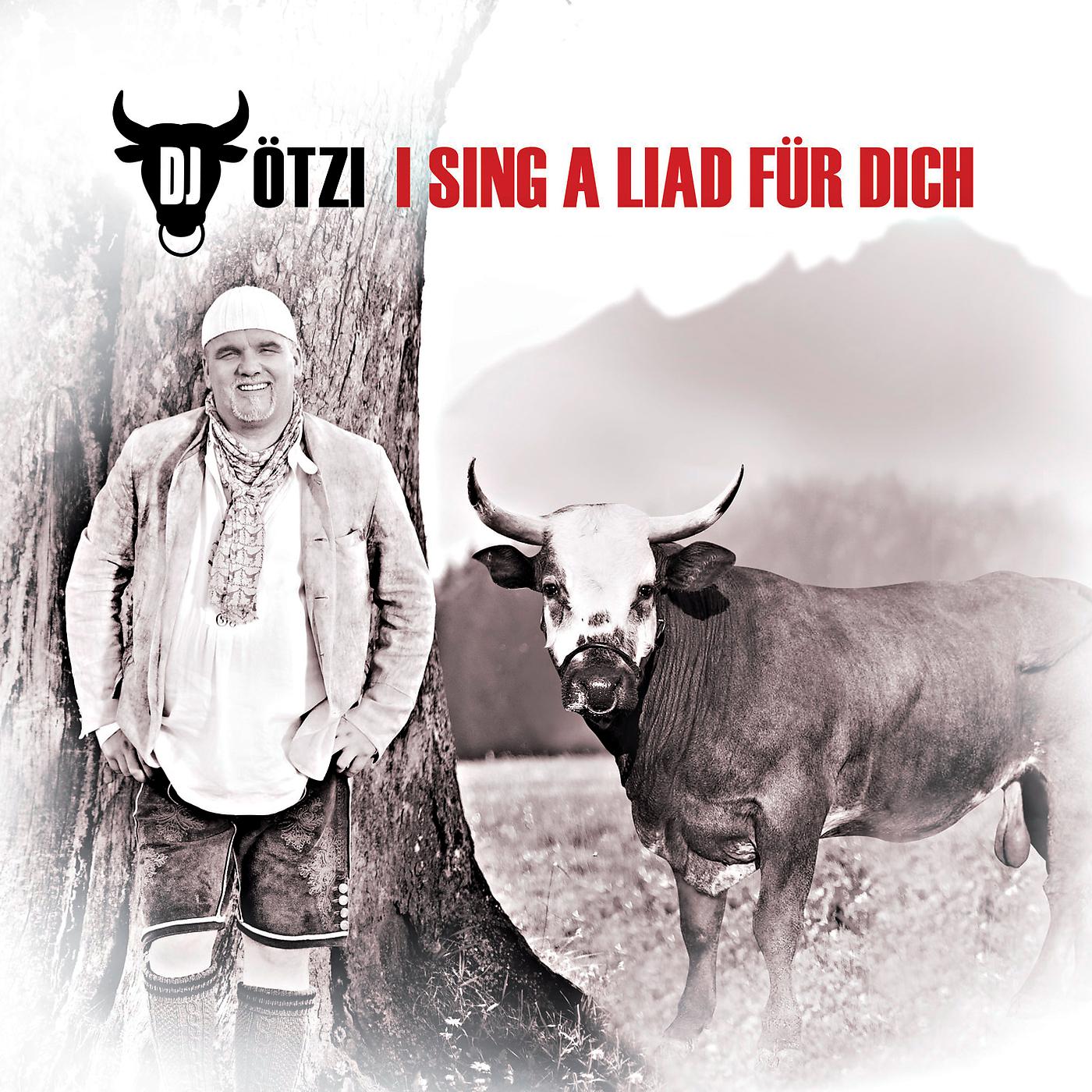 Постер альбома I Sing A Liad Für Dich