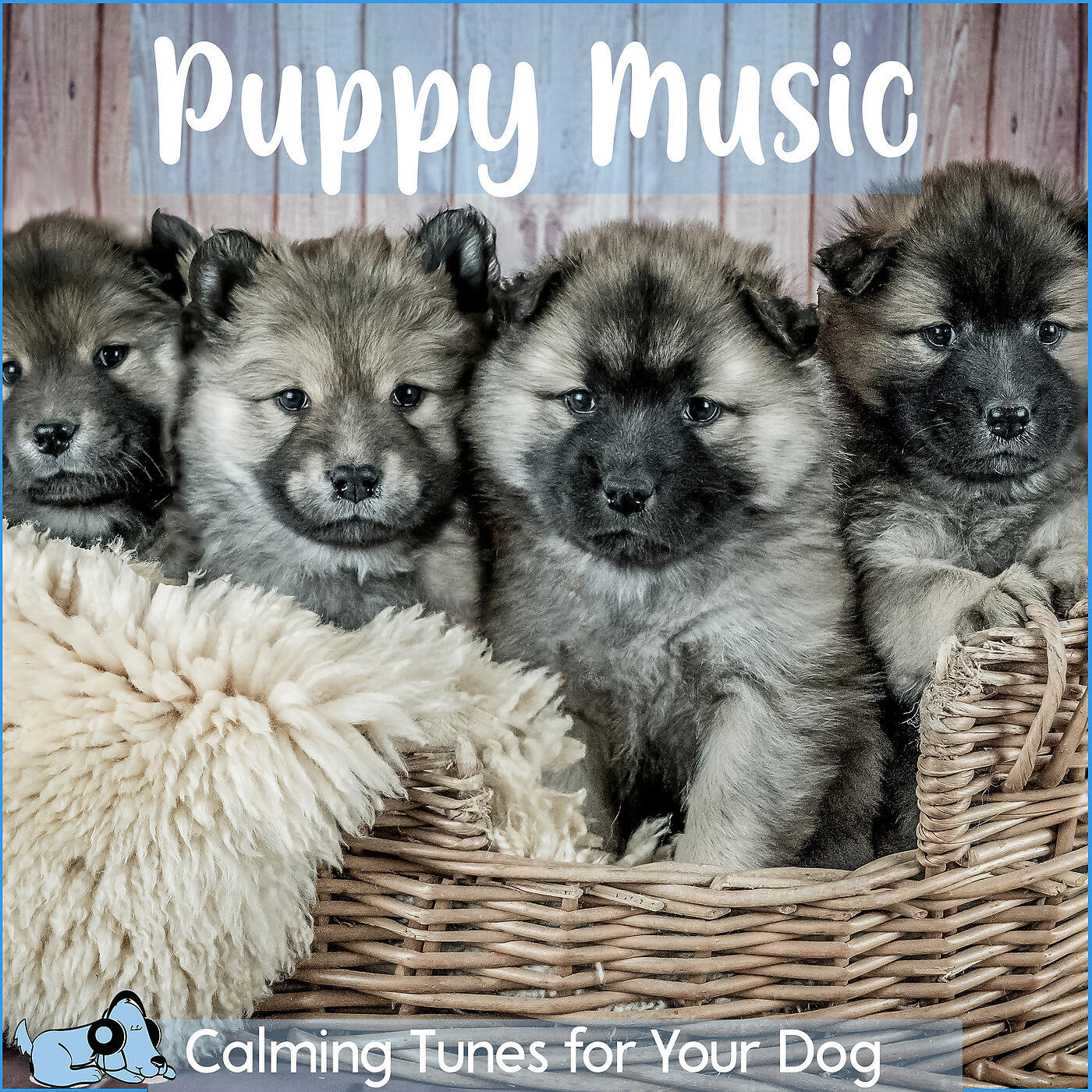 RelaxMyDog - Puppy Massage