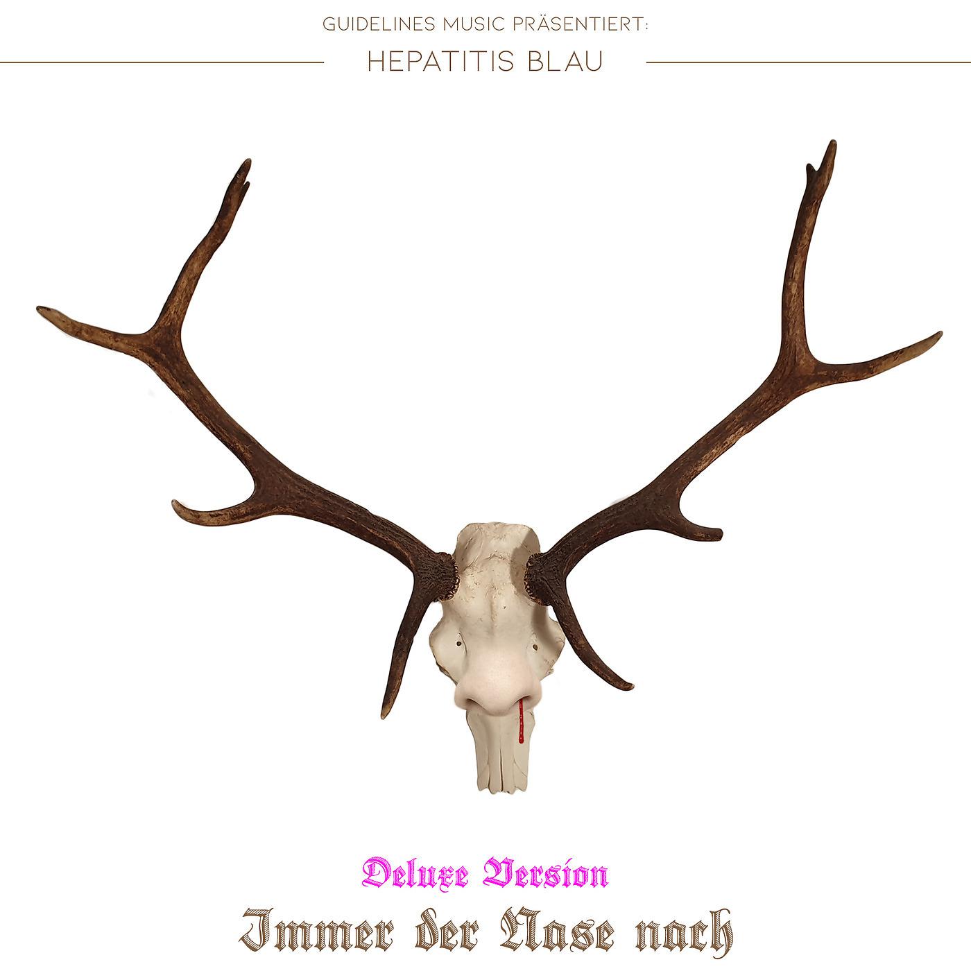 Постер альбома Immer Der Nase Nach (Deluxe Version)