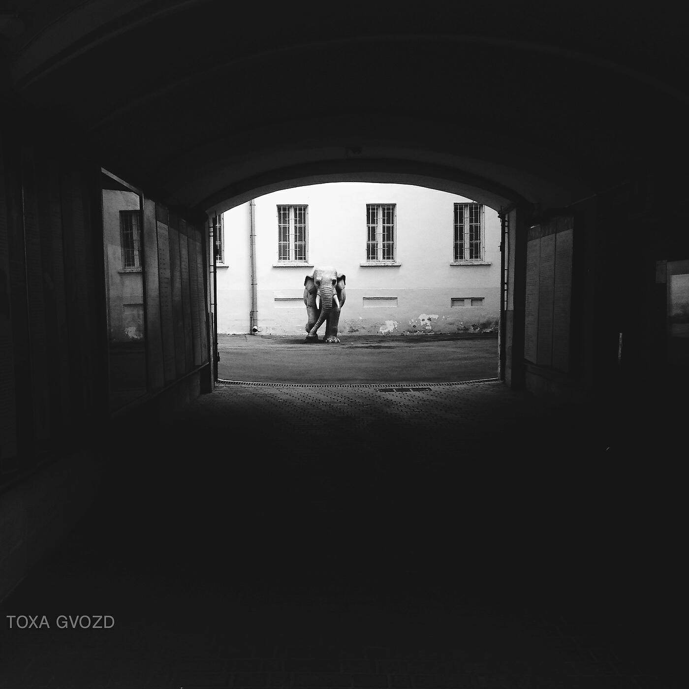 Toxa Gvozd - Clovis (Extended Mix)