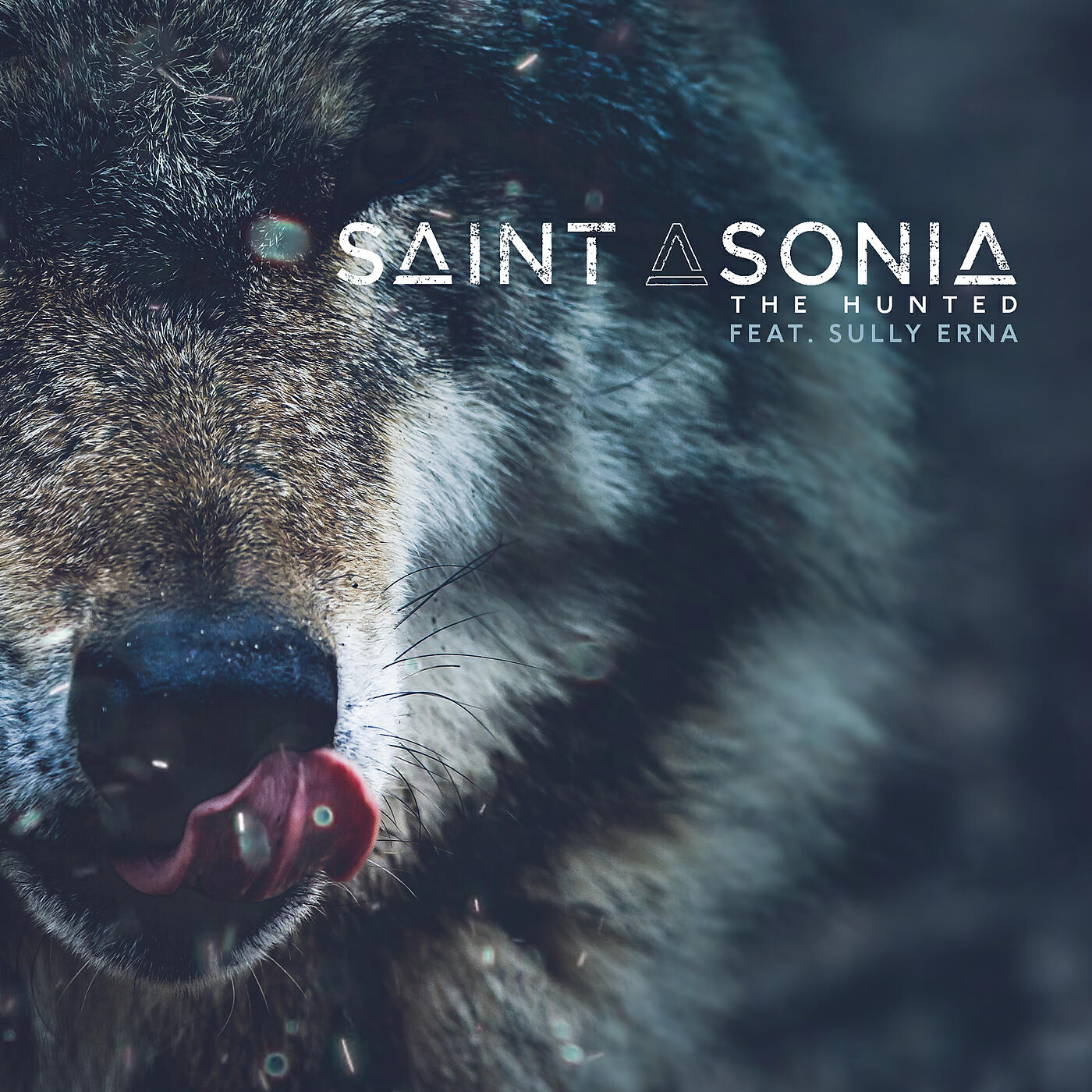 Saint Asonia - The Hunted