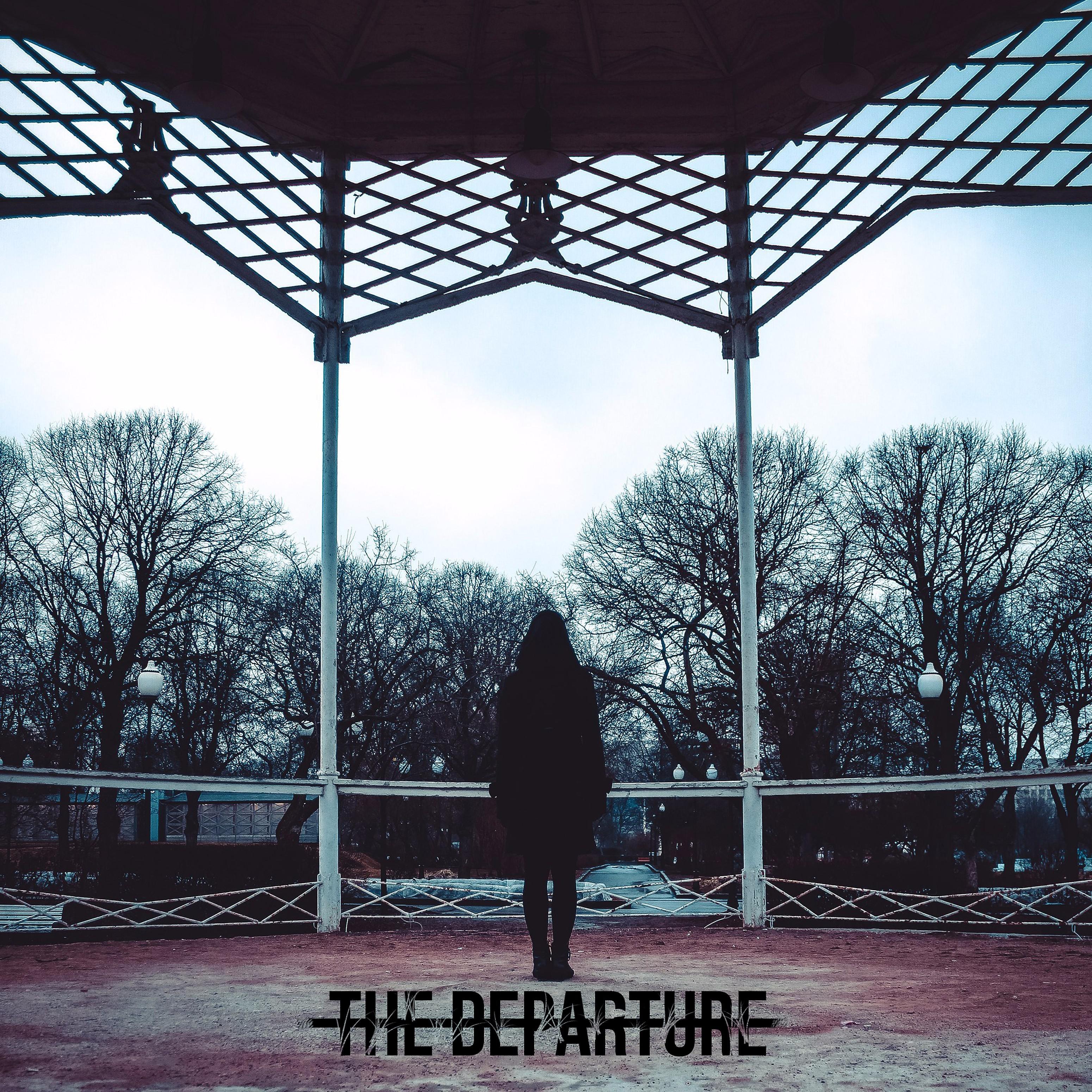 Постер альбома The Departure