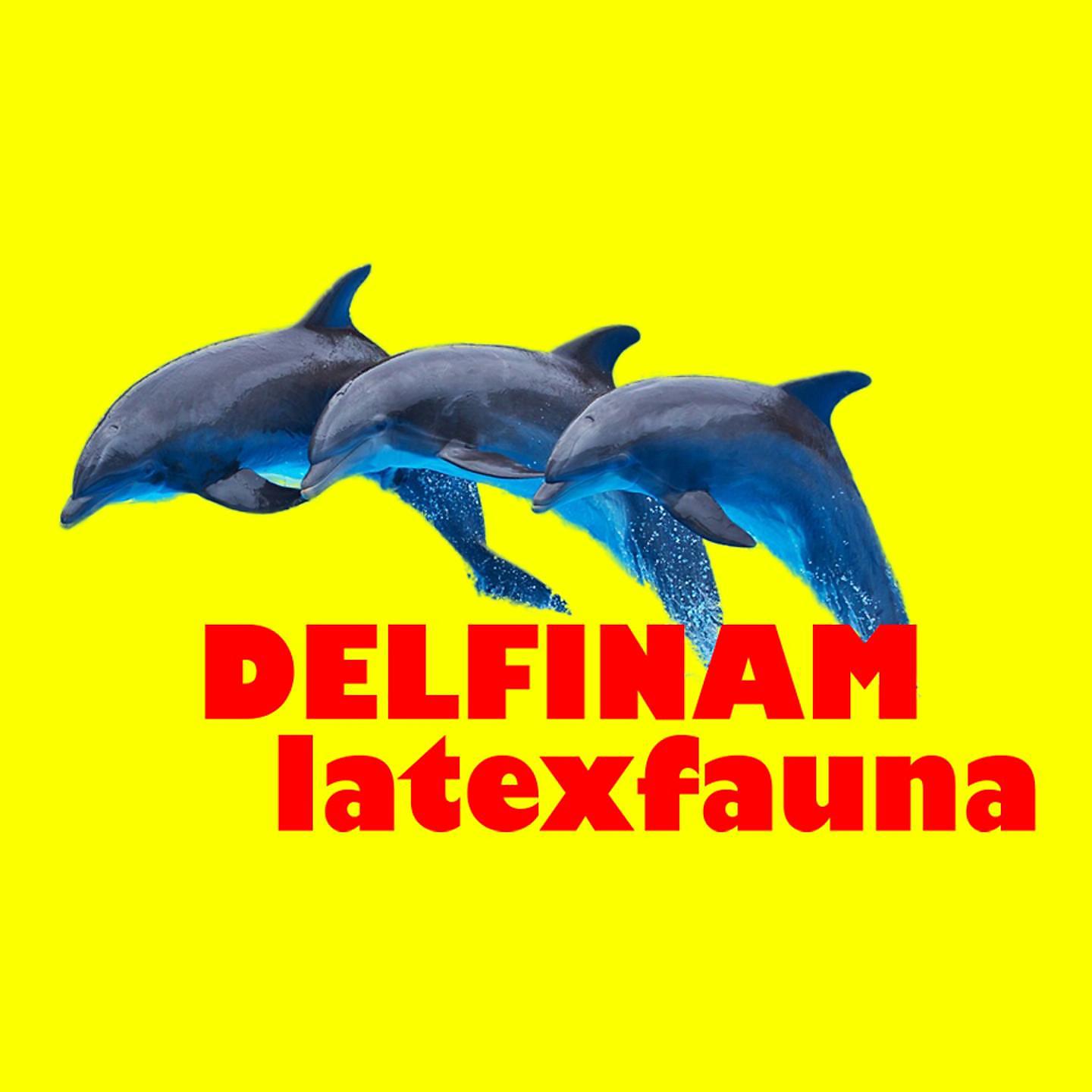 Постер альбома Delfinam