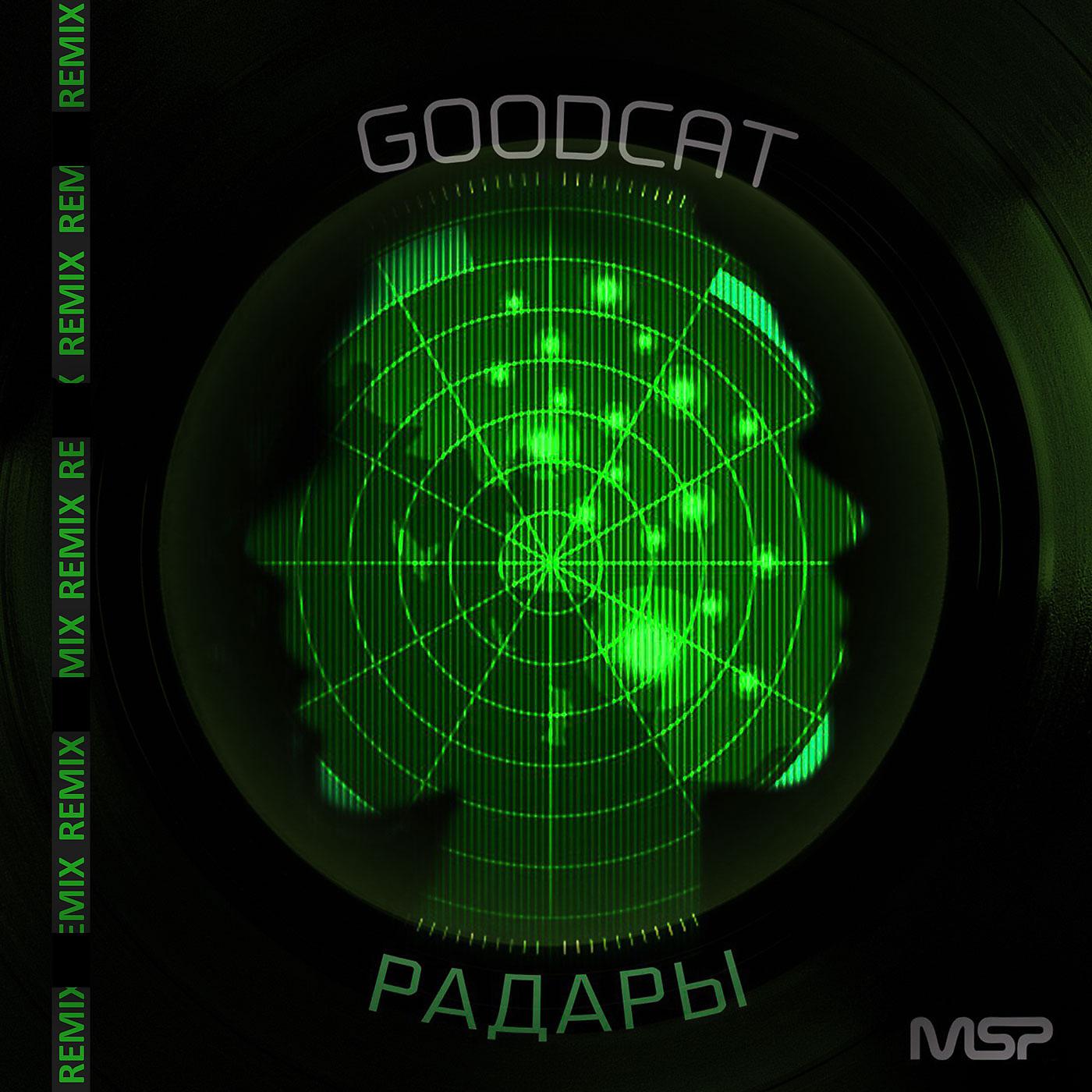 Постер альбома Радары (MSP Remix)
