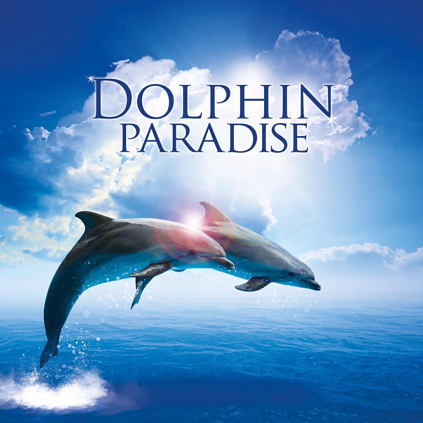 Global Journey - Graceful Diver