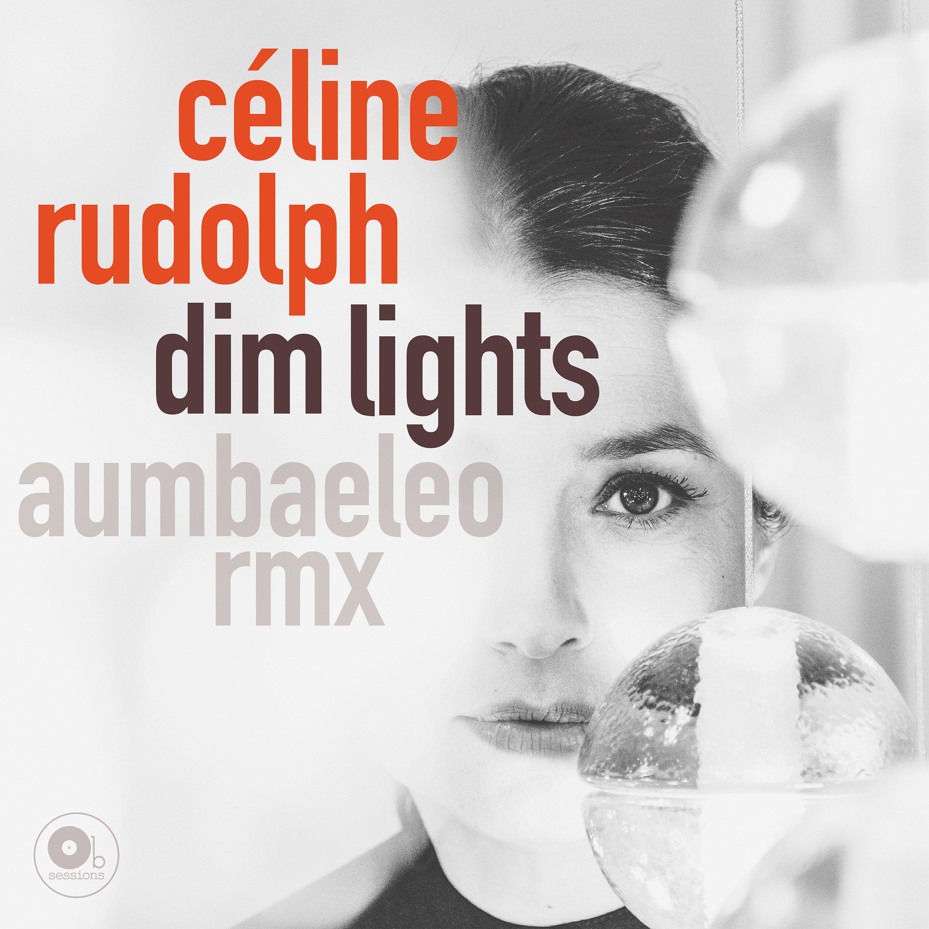 Постер альбома Dim Lights (Aumbaeleo RMX)
