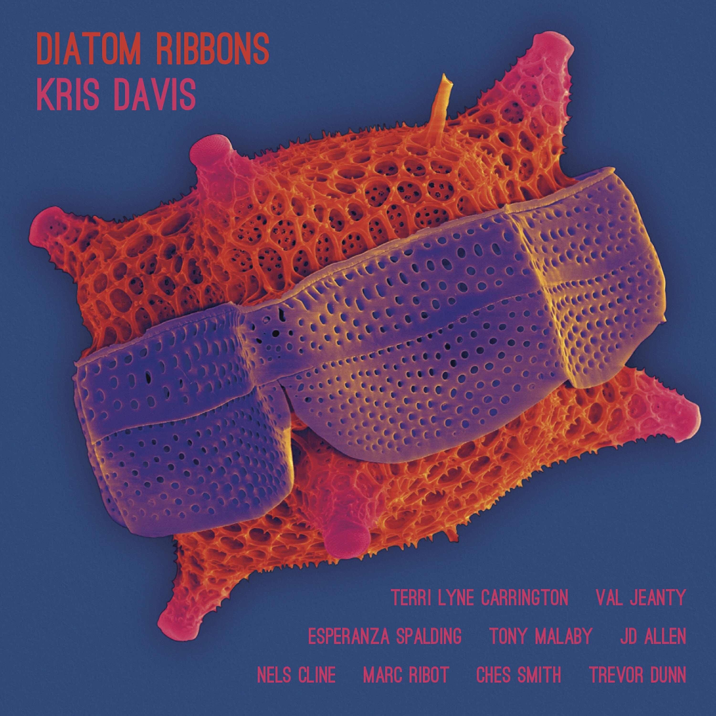 Kris Davis - Golgi Complex (feat. Nels Cline & Marc Ribot)