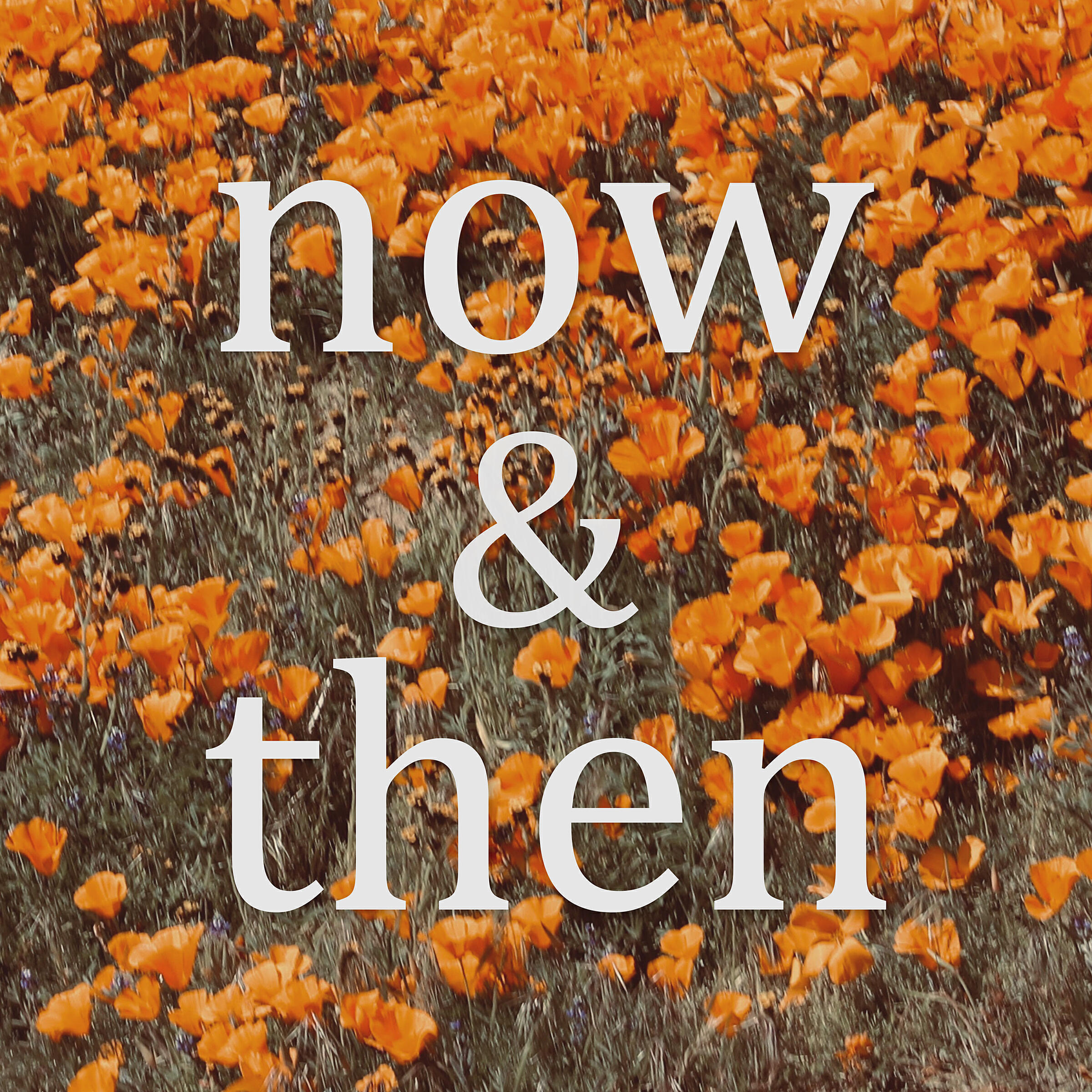 Lily Kershaw - Now & Then