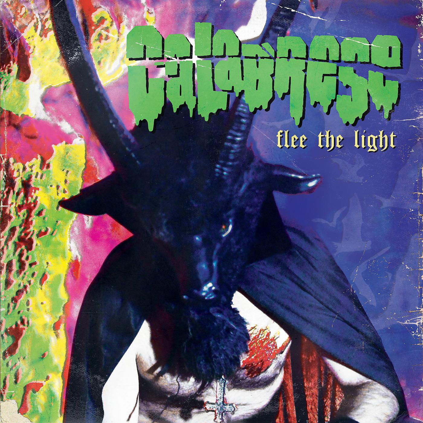 Постер альбома Flee the Light