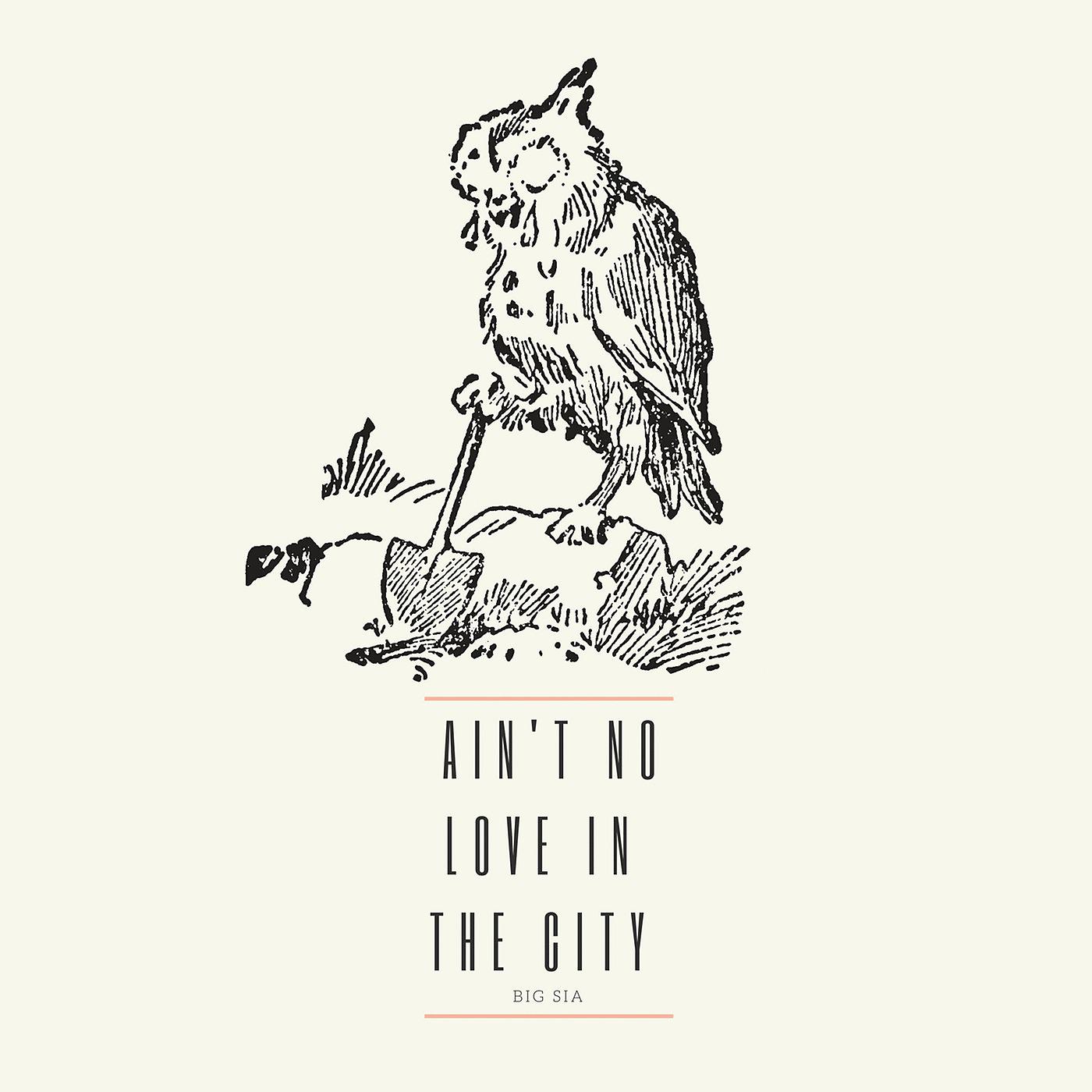 Постер альбома Ain't No Love in the City