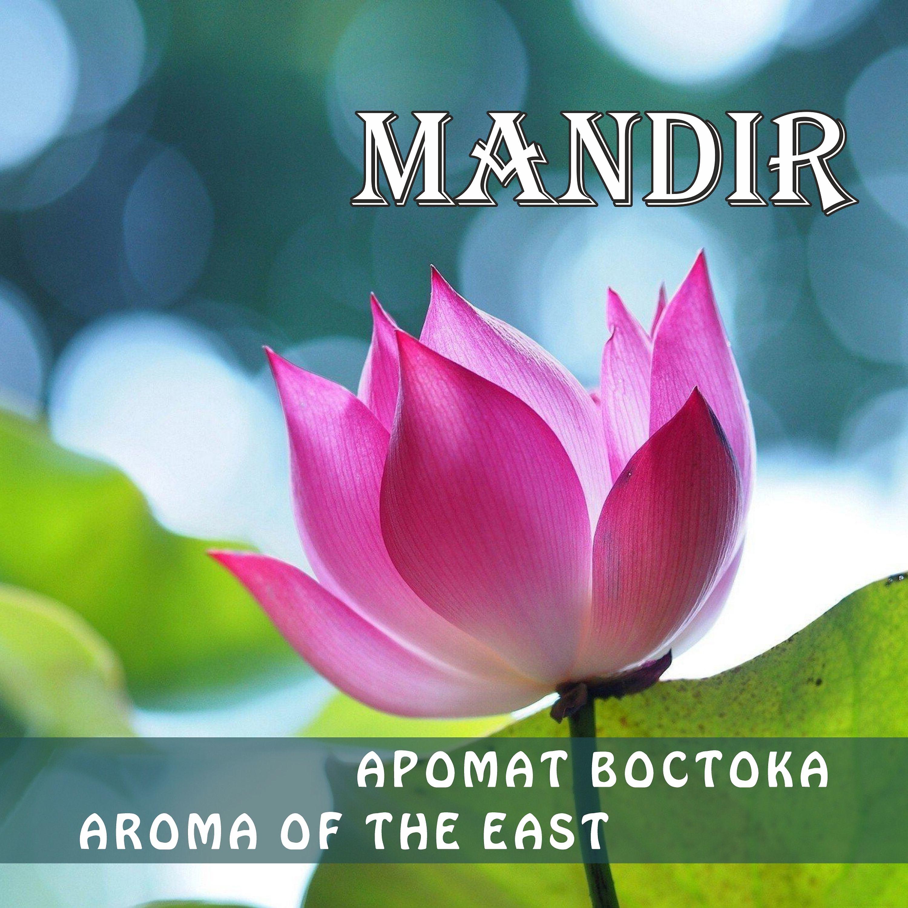 Постер альбома Aroma of the East