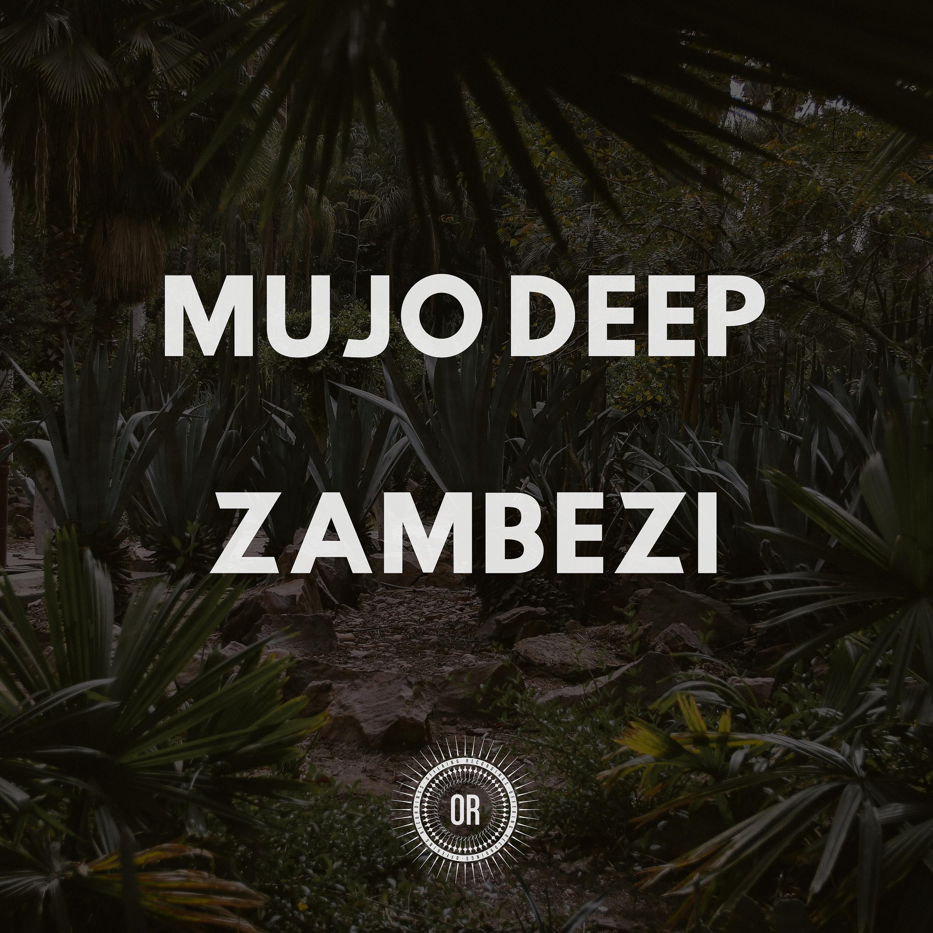 Постер альбома Zambezi