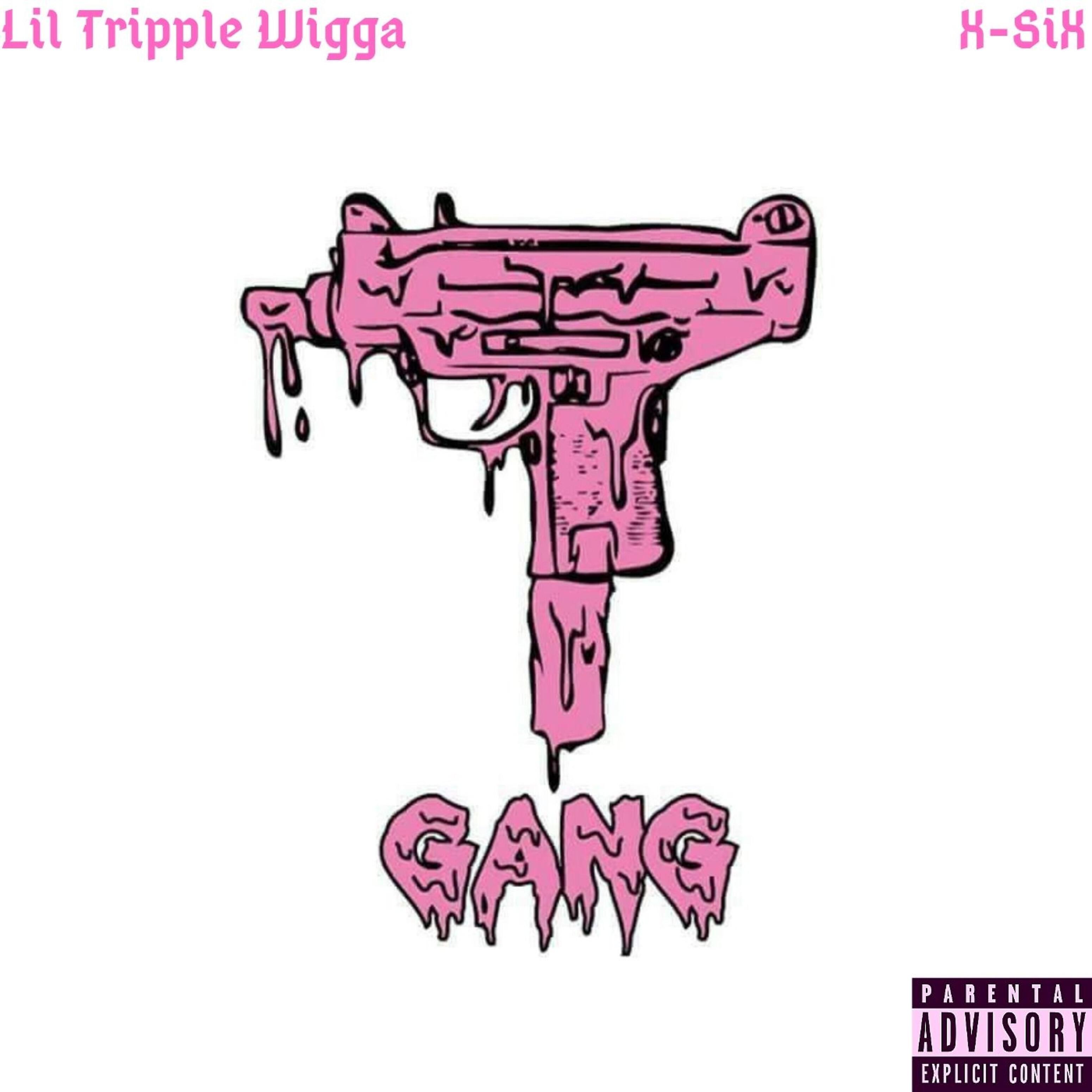 Lil Tripple Wigga - Gang