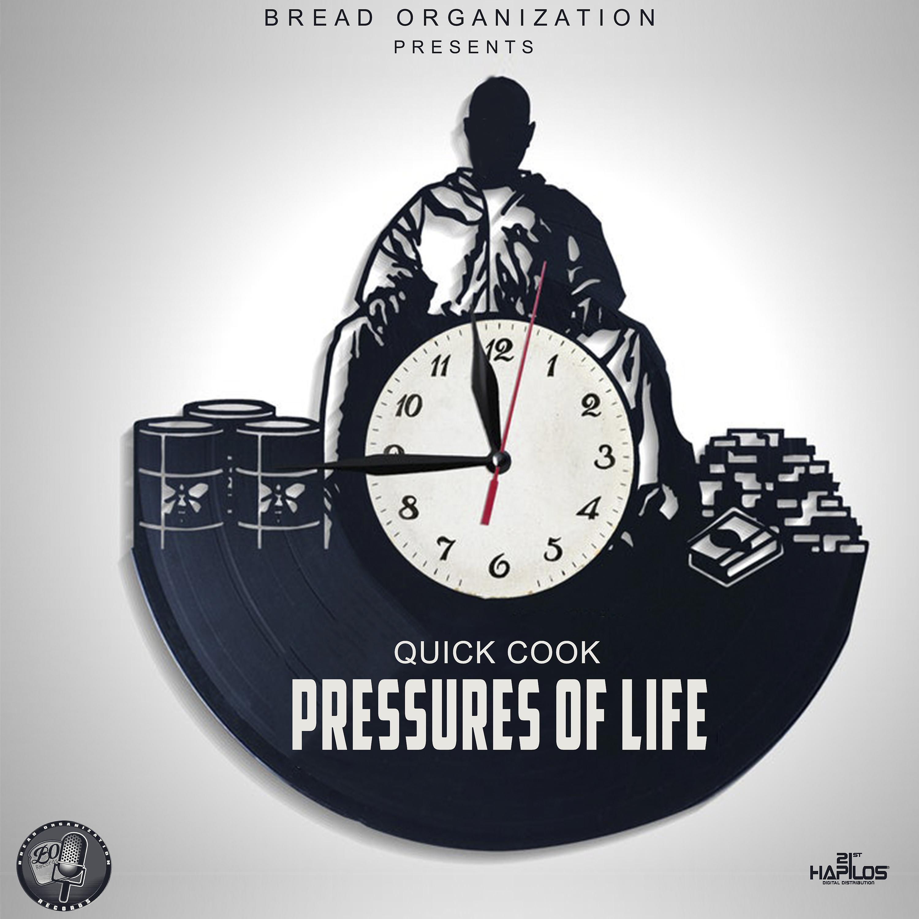 Постер альбома Pressures of Life