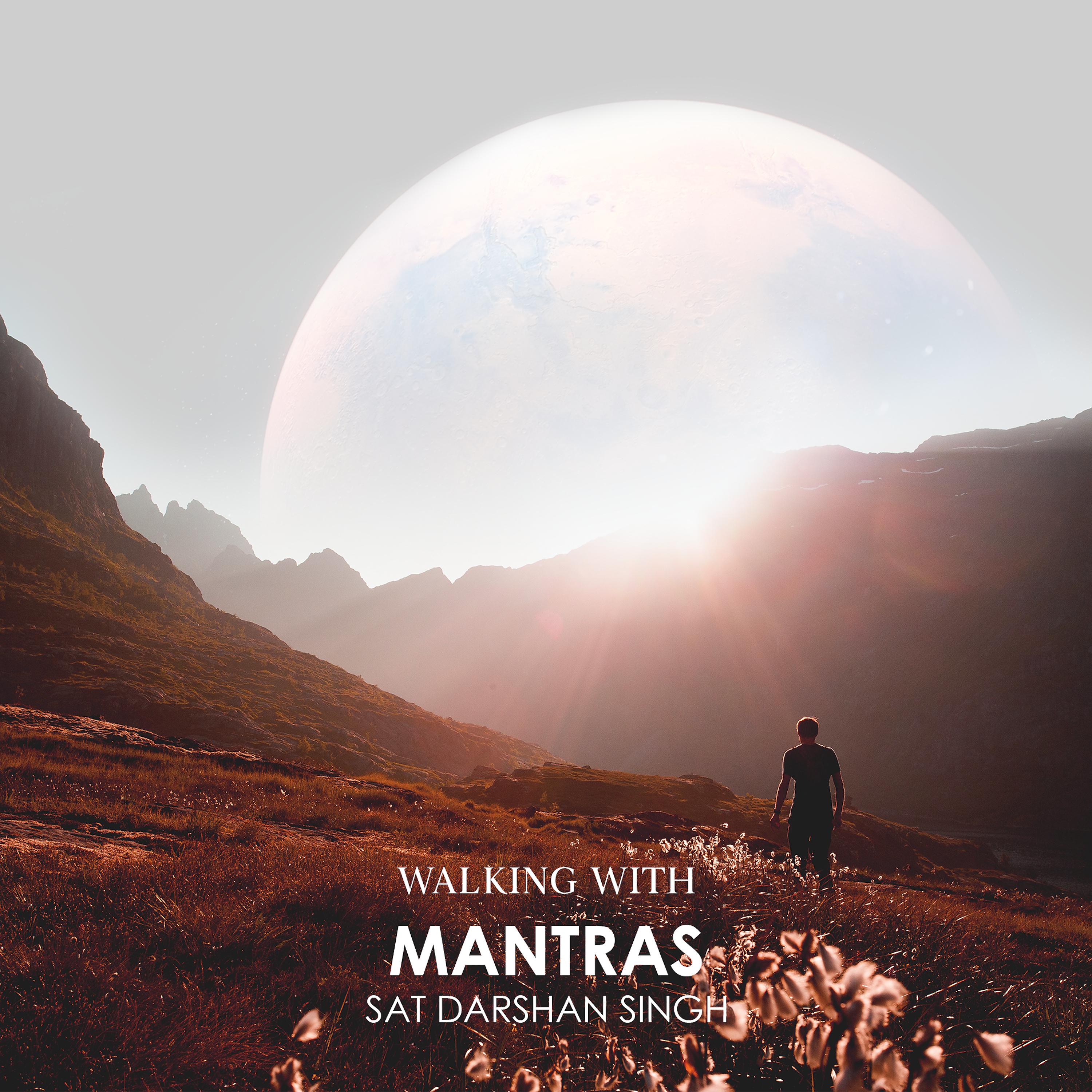 Постер альбома Walking with Mantras
