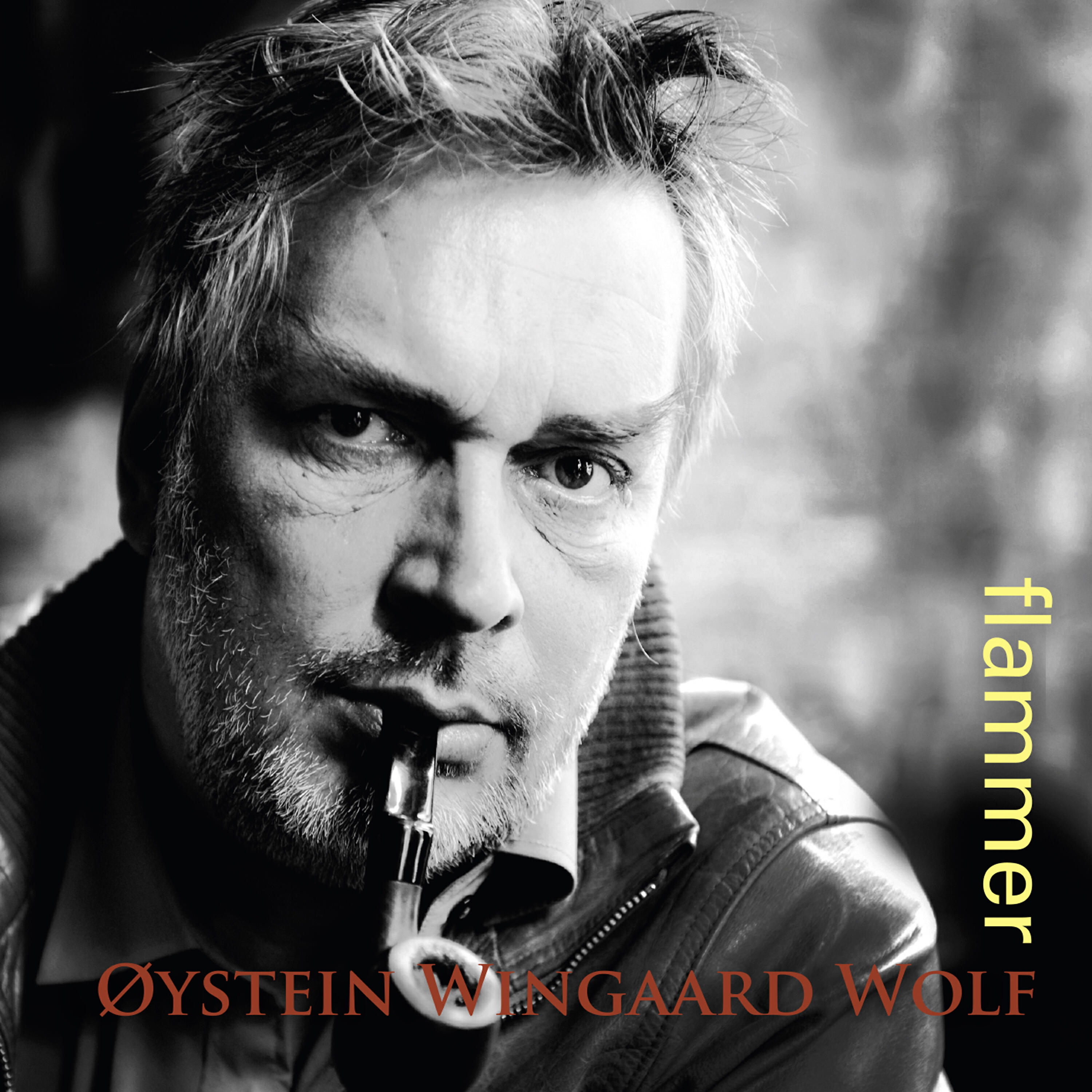 Øystein Wingaard Wolf - Ingen kan forklare ordet fred