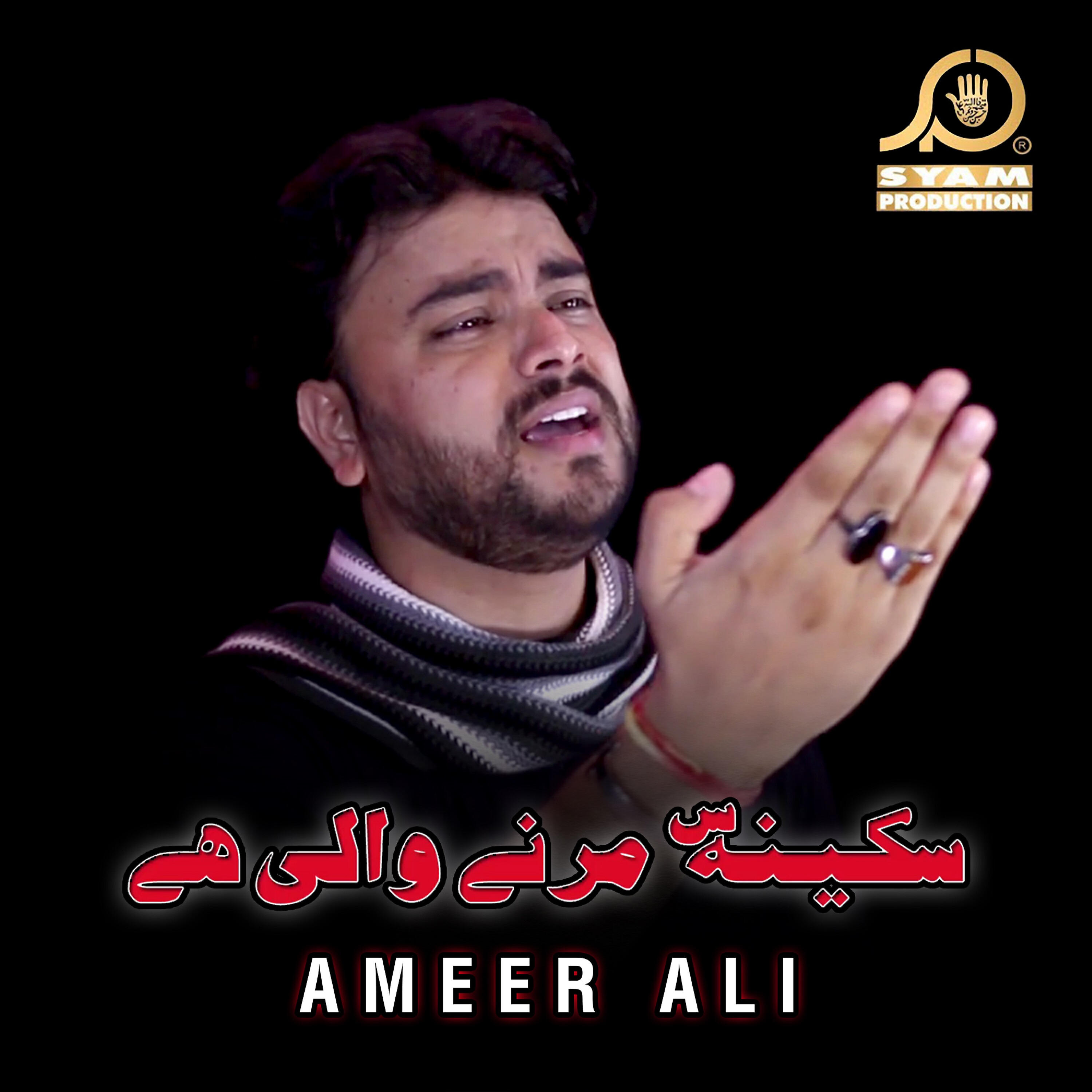 Ameer Ali - Kon Hai Ali Jaisa