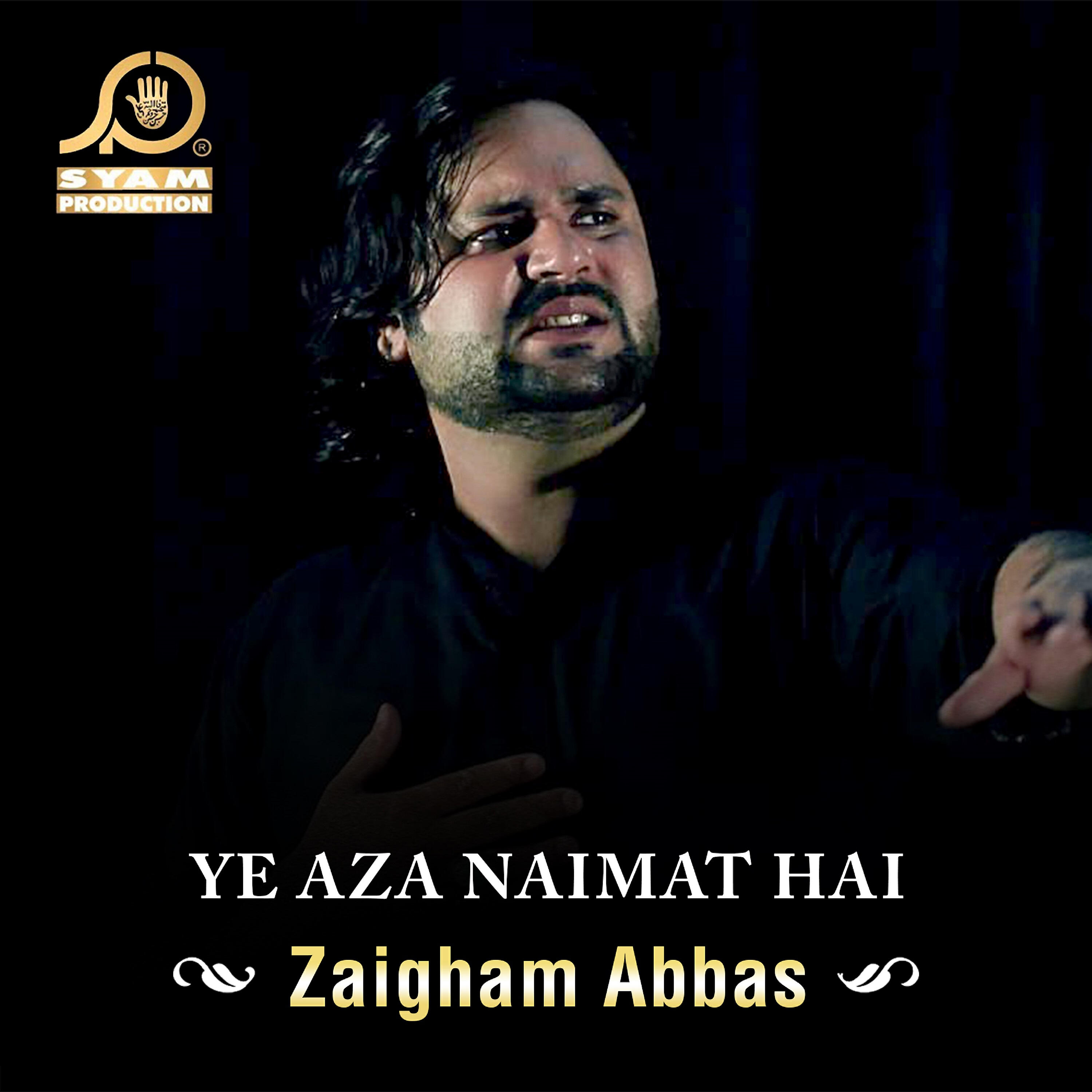 Zaigham Abbas - Meray Bay Sar Bhayya