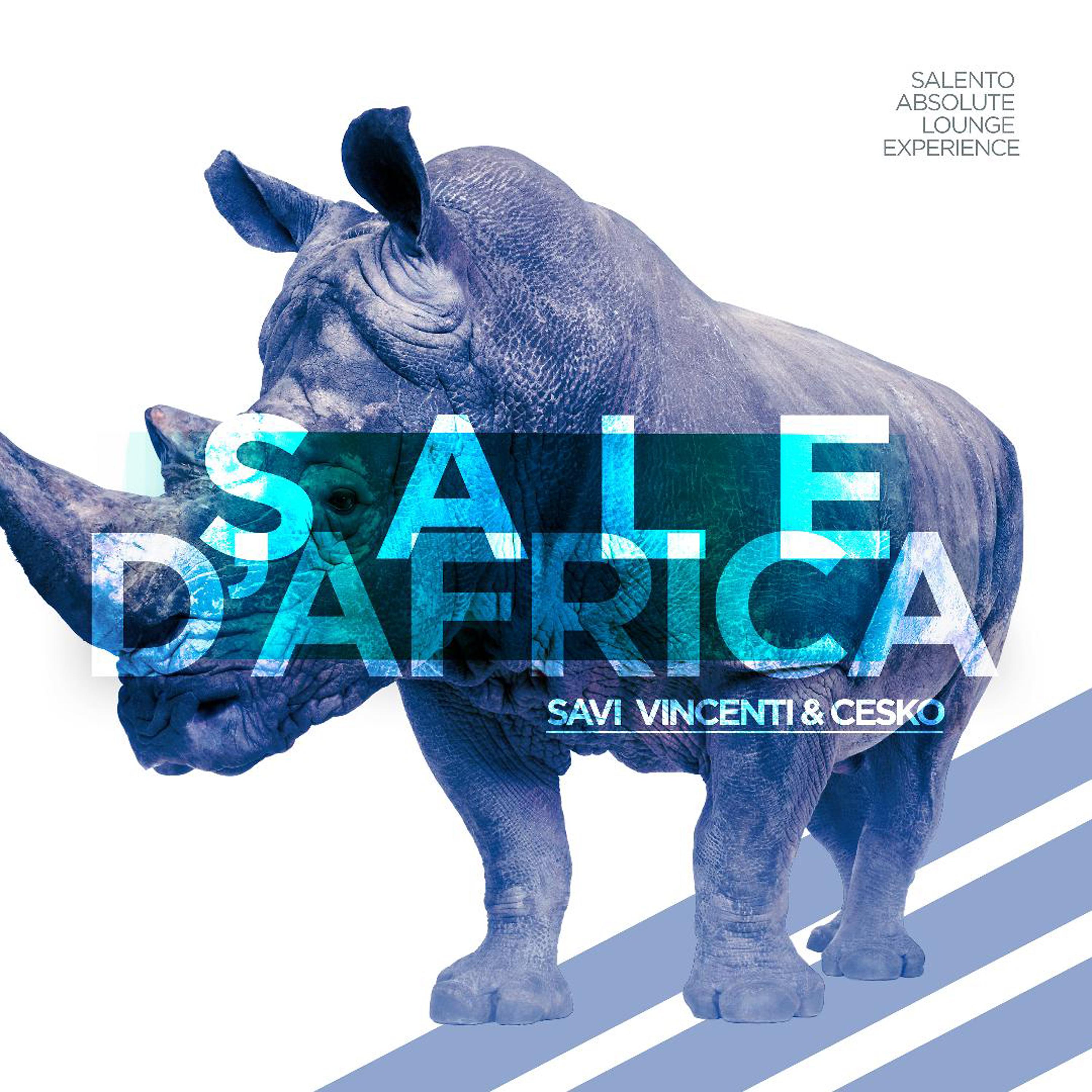 Постер альбома Sale D’Africa
