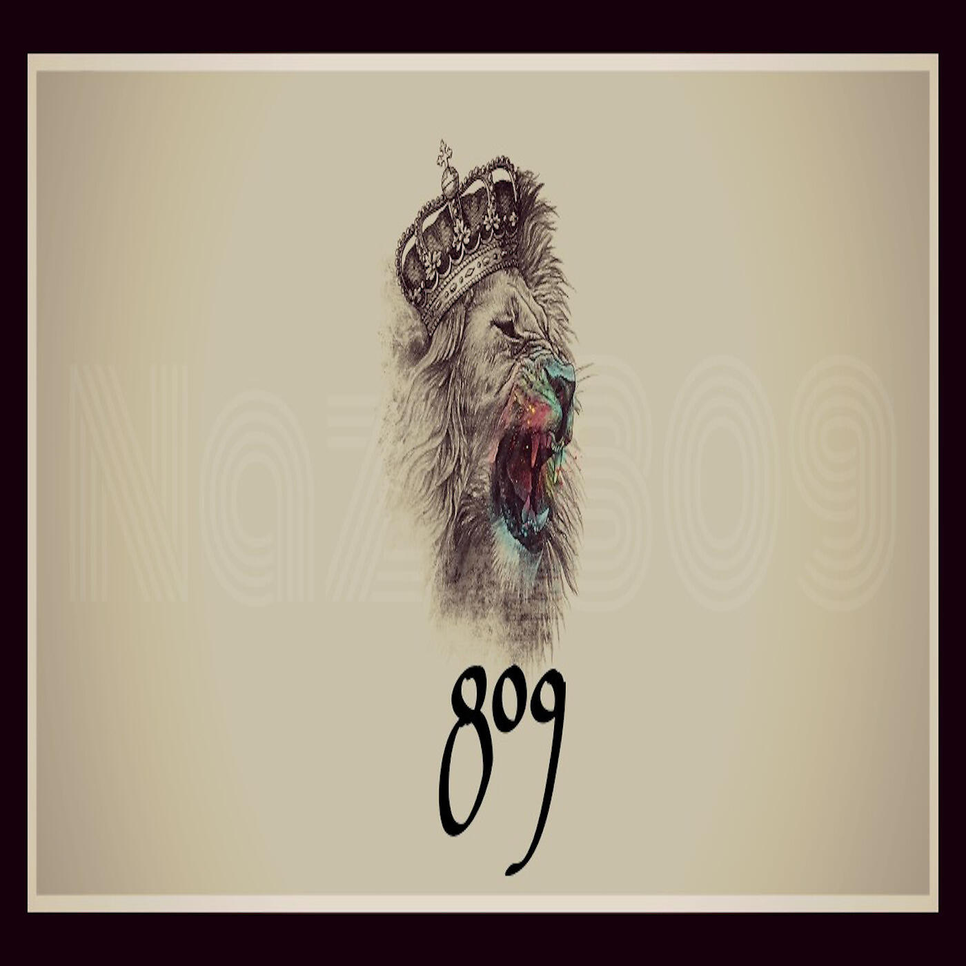 Nazz809 - Meek Mill Guns & Roses