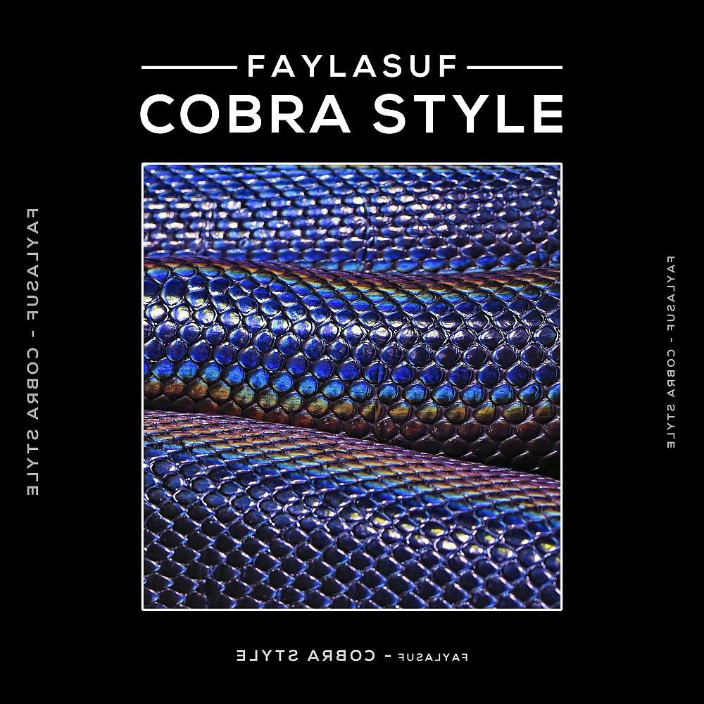 Постер альбома Cobra Style