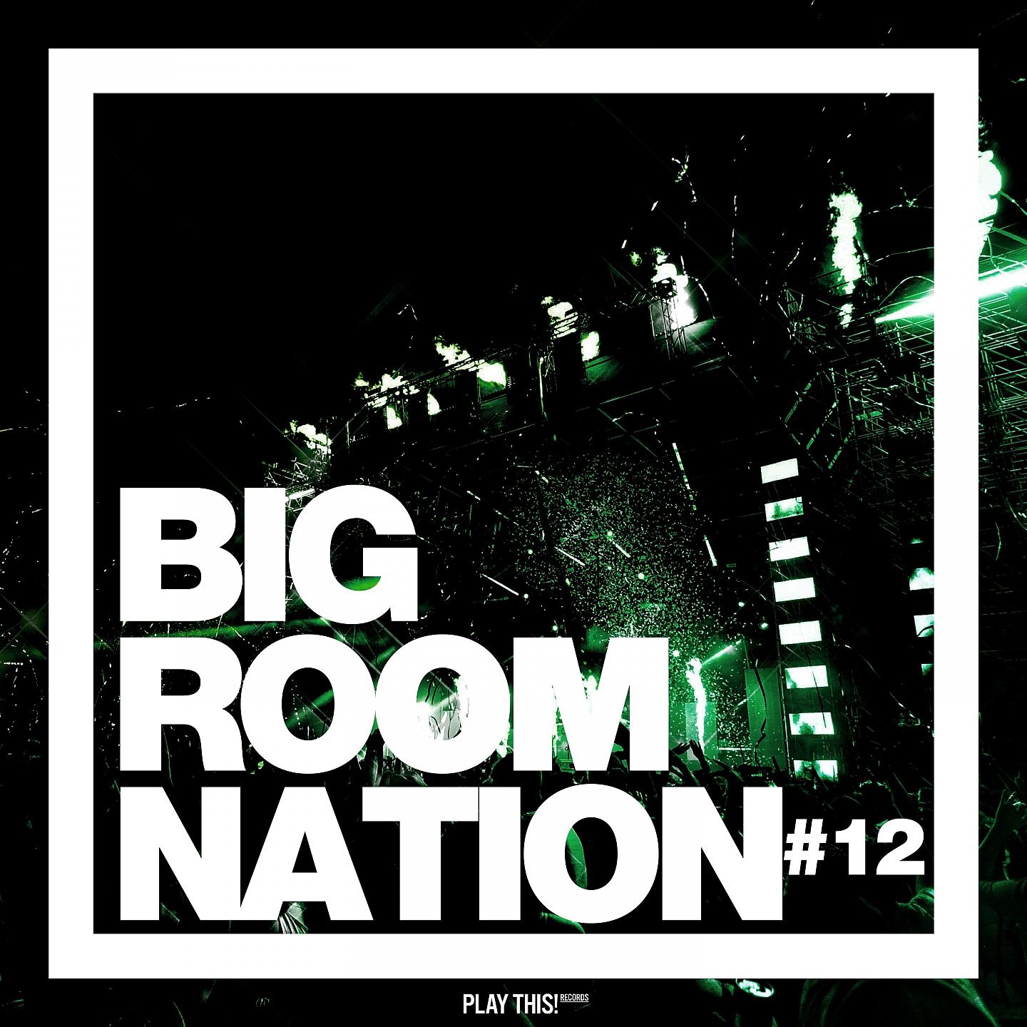 Постер альбома Big Room Nation, Vol. 12
