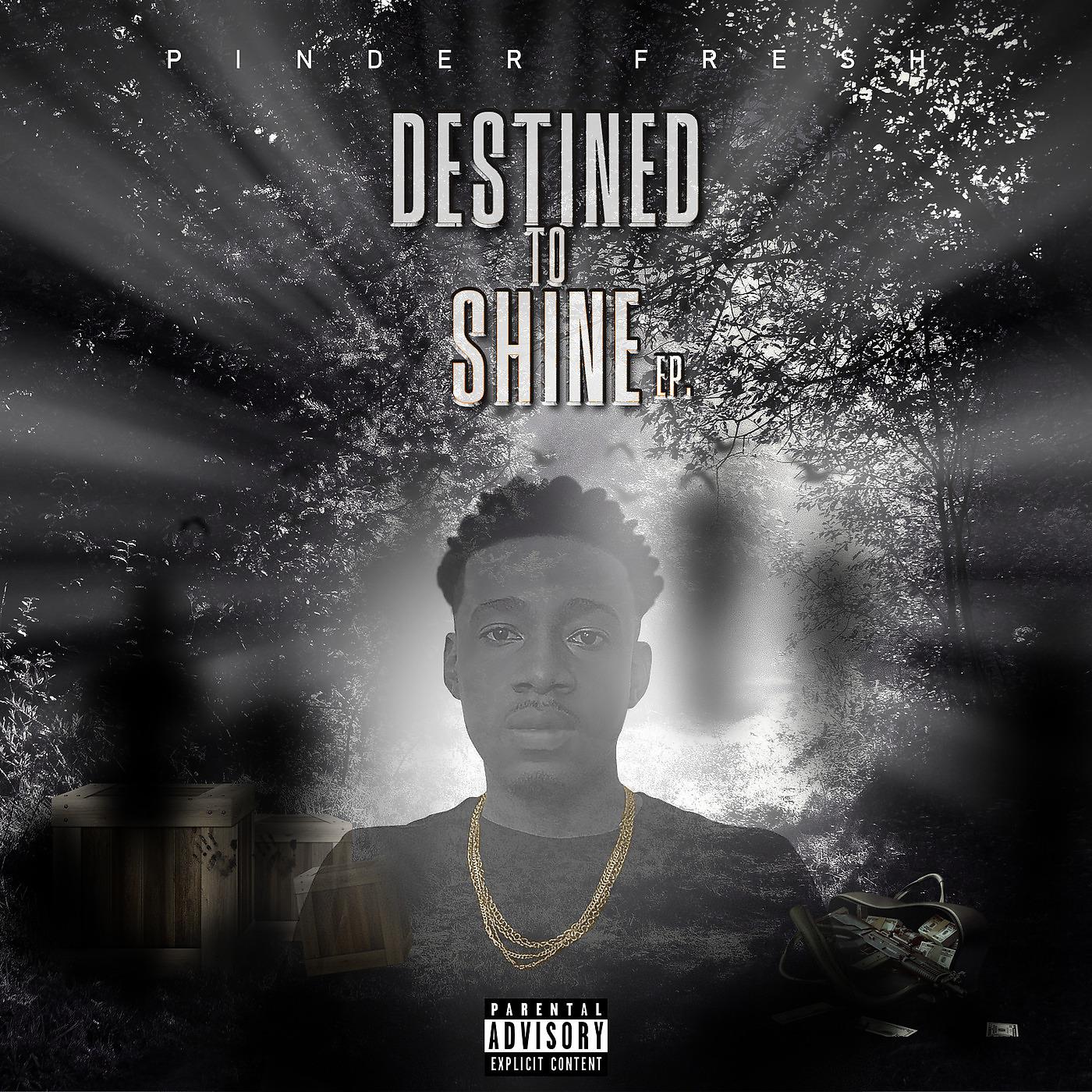 Постер альбома Destined to Shine - EP