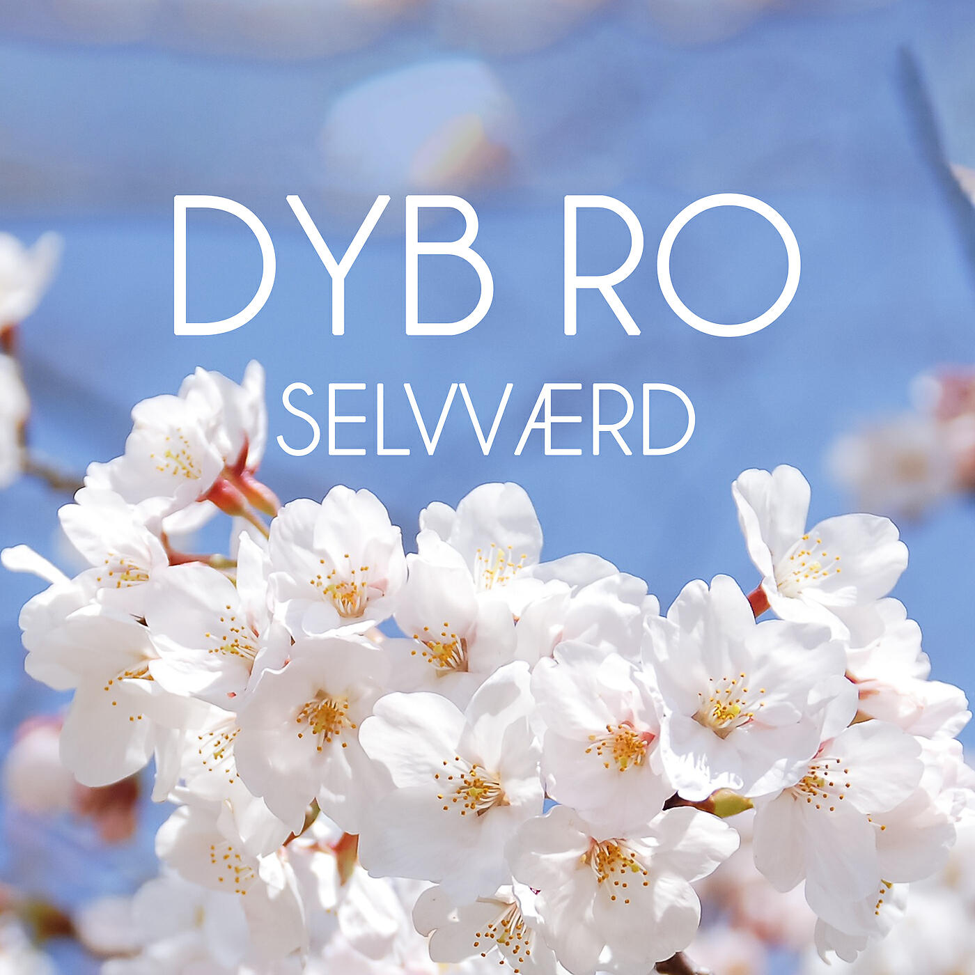Dyb Ro - Selvværd - del 2 (Meditation)