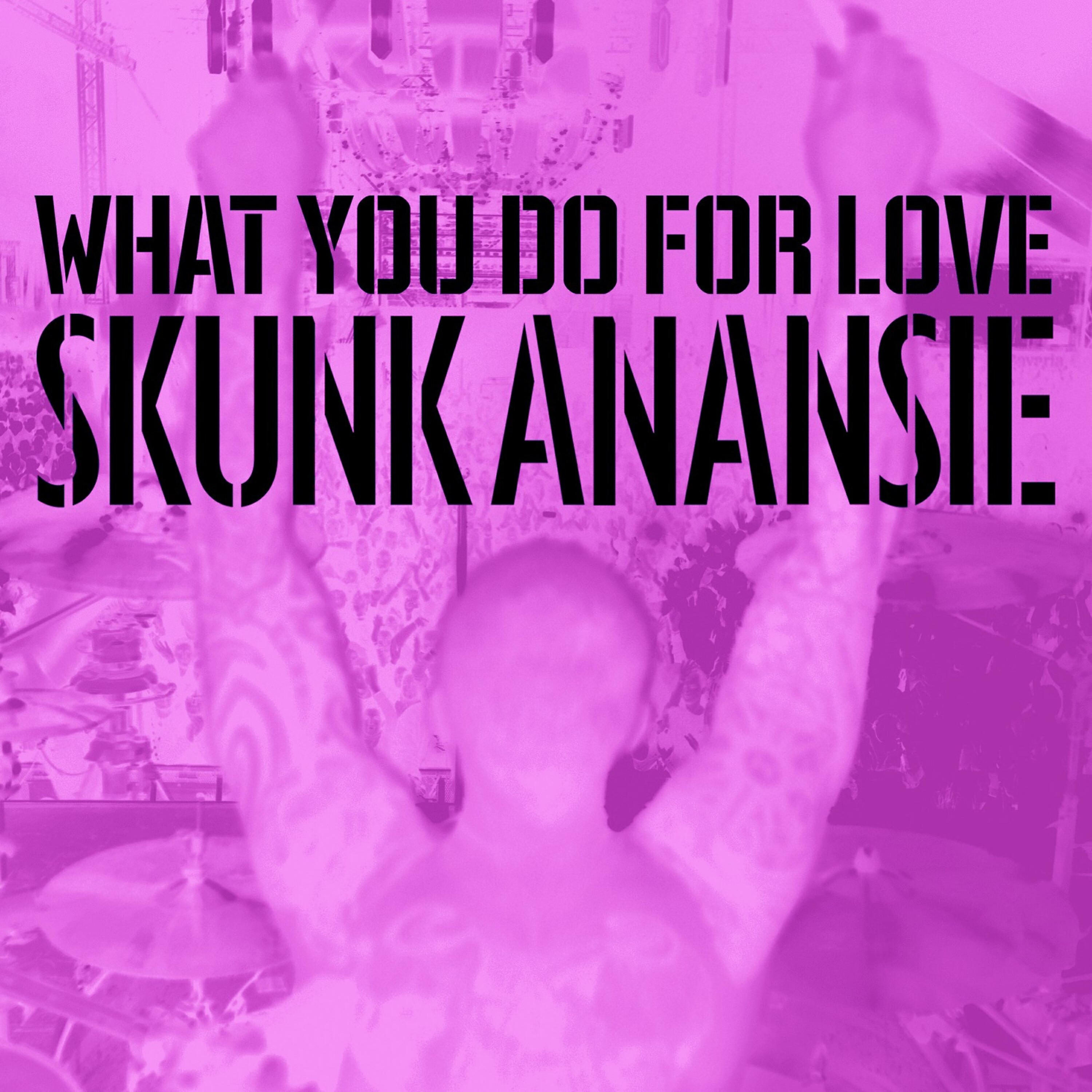 Skunk Anansie - What You Do for Love (acoustic)