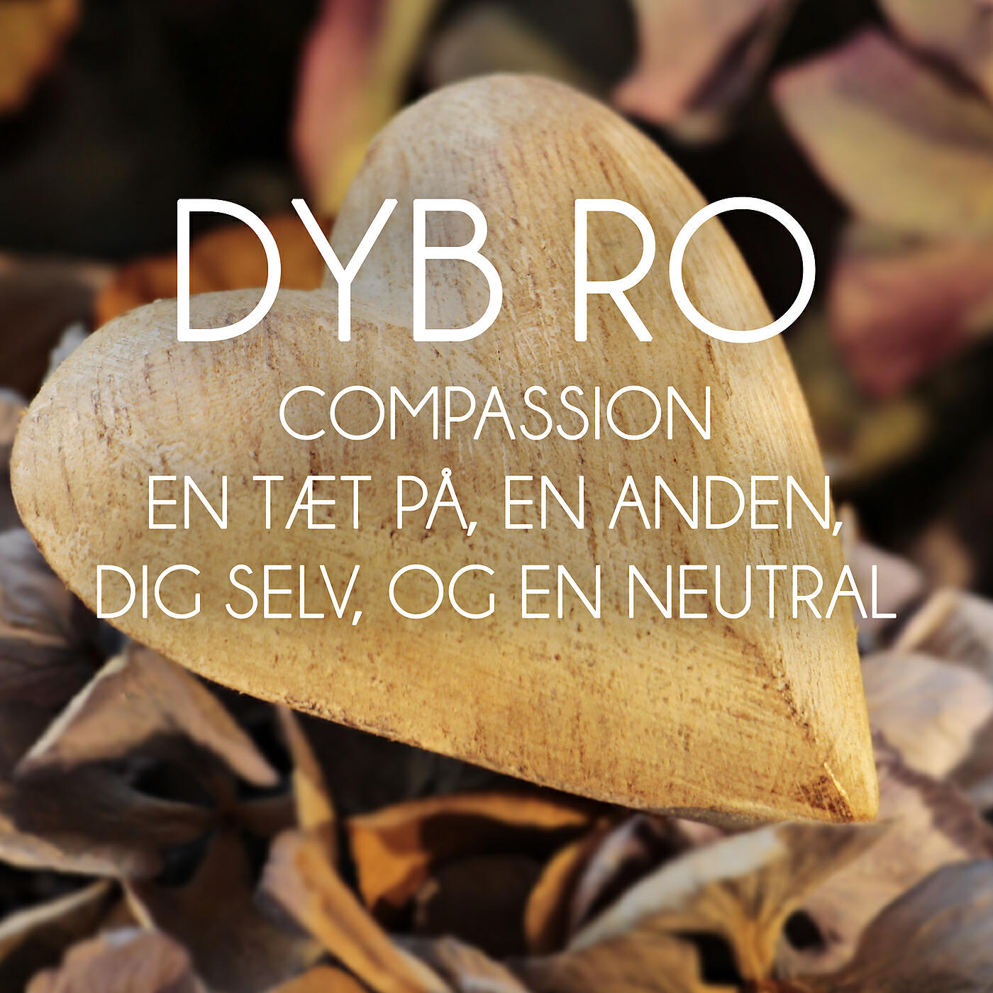Dyb Ro - Compassion 3 tæt på - del 2 (Meditation)