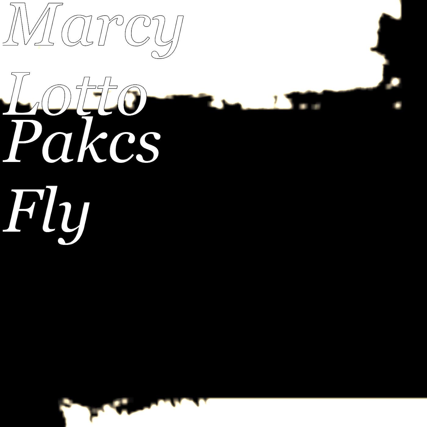 Постер альбома Pakcs Fly