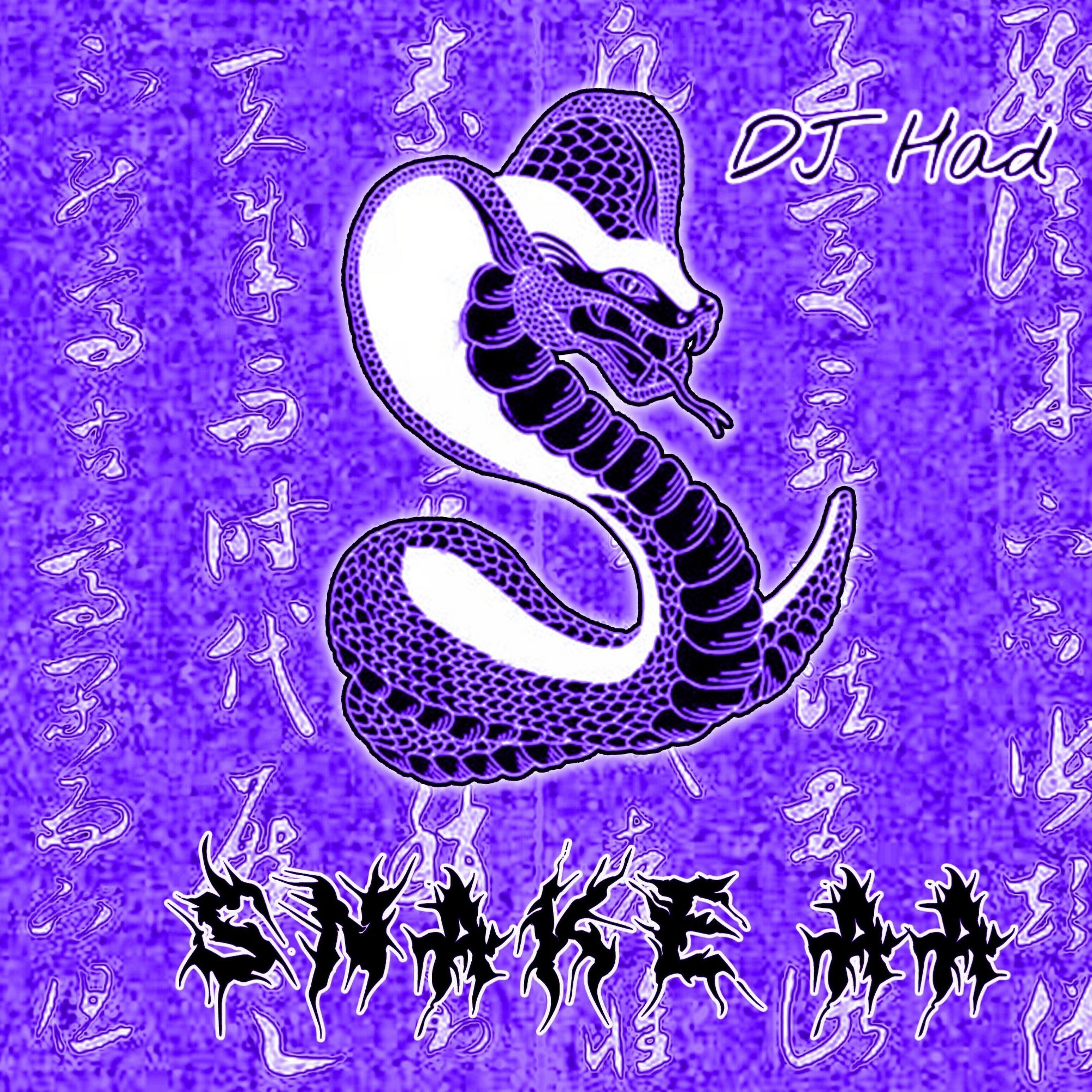 DJ Had - Snake Aa