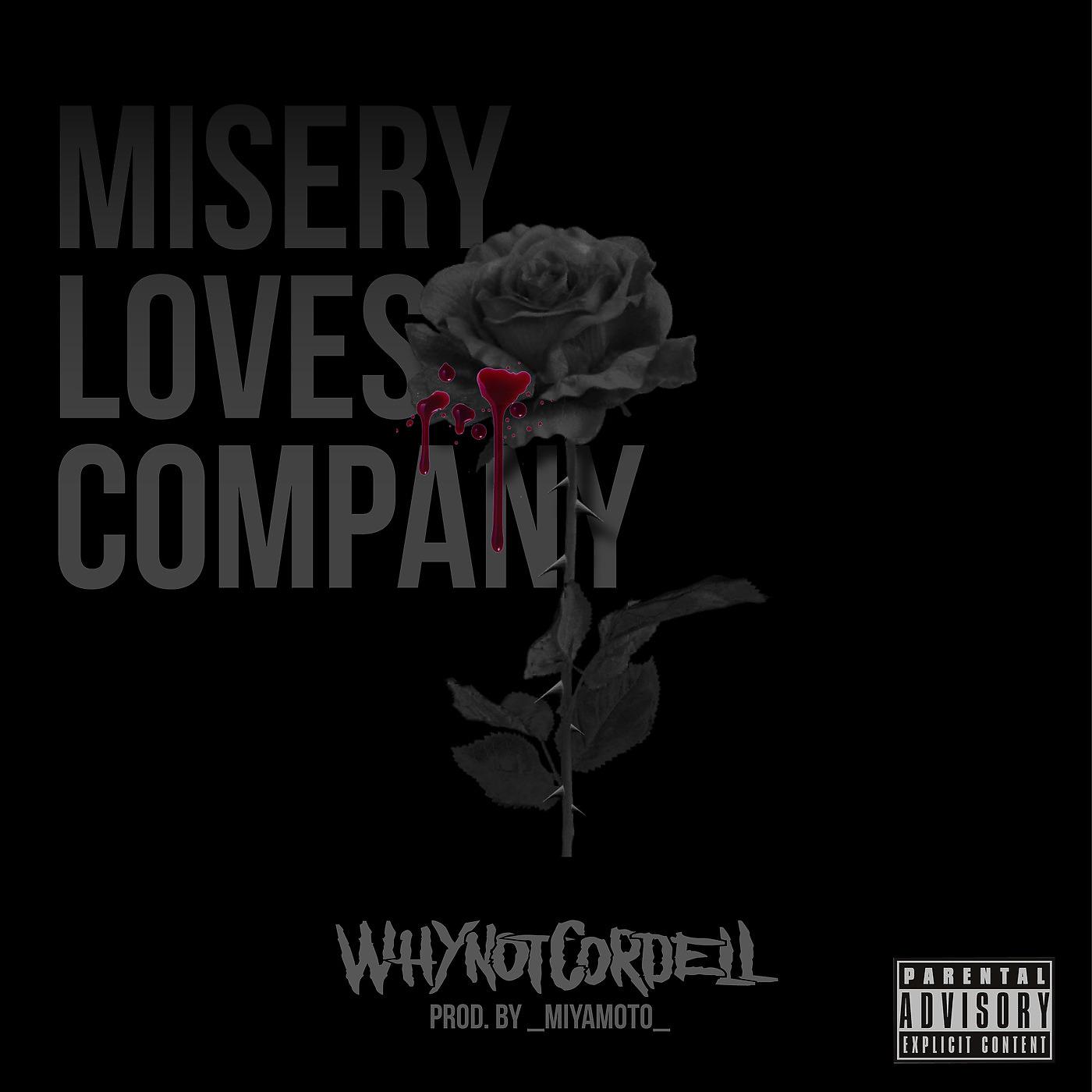 Постер альбома Misery Loves Company