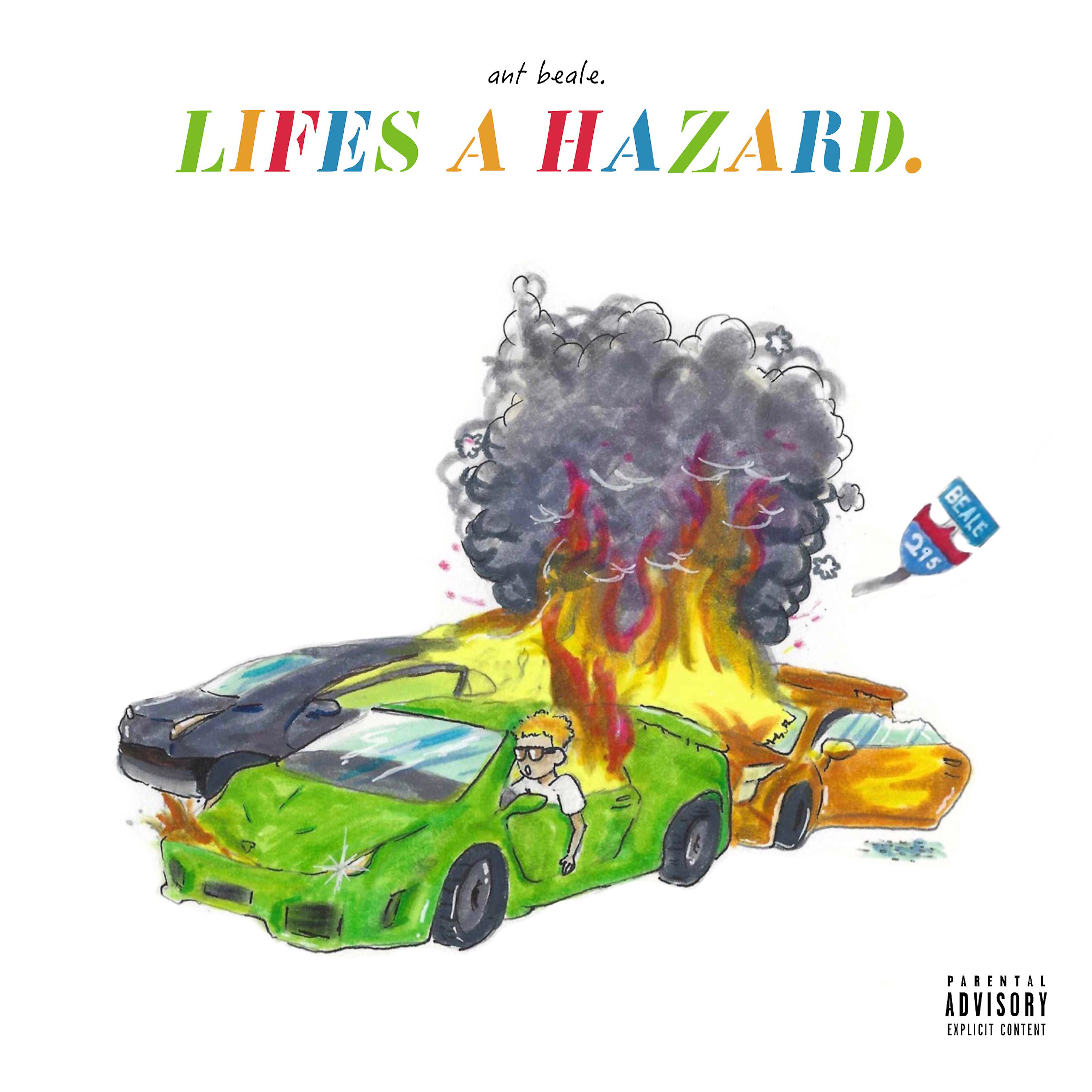 Постер альбома Life's a Hazard